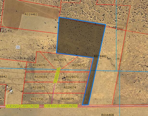 Cuervo Canyon Road Torreon, NM 87061