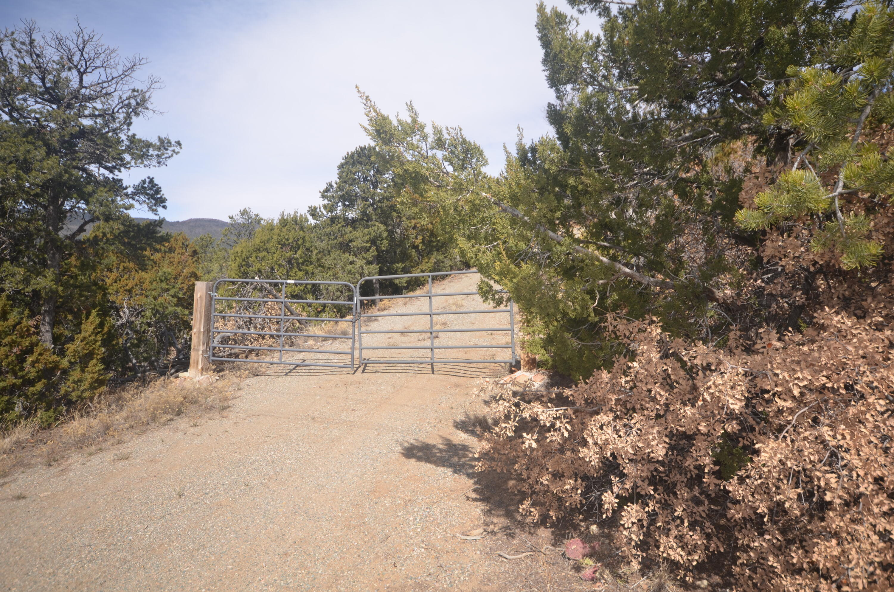 Imagine waking up every day to the stunning views of nature right outside your window. This amazing 10-acre lot is nestled in the mountains, just waiting for you to build your dream retreat! Whether you're envisioning a cozy cabin, a modern getaway, or a place to gather with friends and family, this spot has it all. With electric already at the road, you'll have the ease of setting up your perfect spot without the hassle. Just a heads-up, though: high-profile vehicles are a must to navigate the terrain, so bring your trusty truck or SUV! This isn't just a piece of land; it's a chance to escape the hustle and bustle and find your peace in nature. Picture sipping your morning coffee while soaking in those breathtaking views or gathering around a fire pit under the stars.