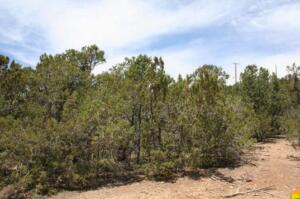 Lot opportunity with nice acreage located near North 14 corridor.Nice homes in the area.  Call your REALTOR for more details!
