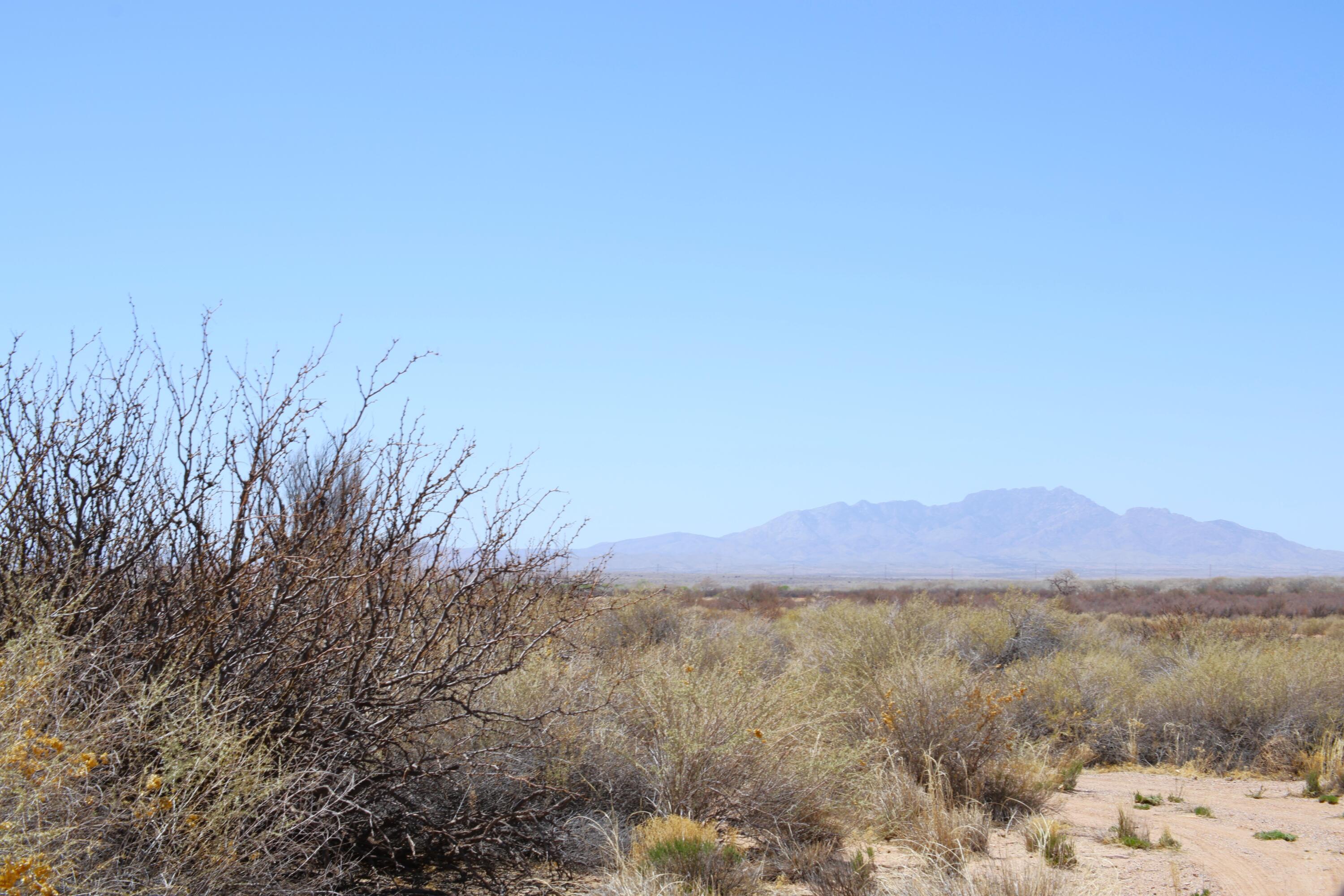 Map 135 Tract 2 Calle De Allegre, La Joya, NM 87028
