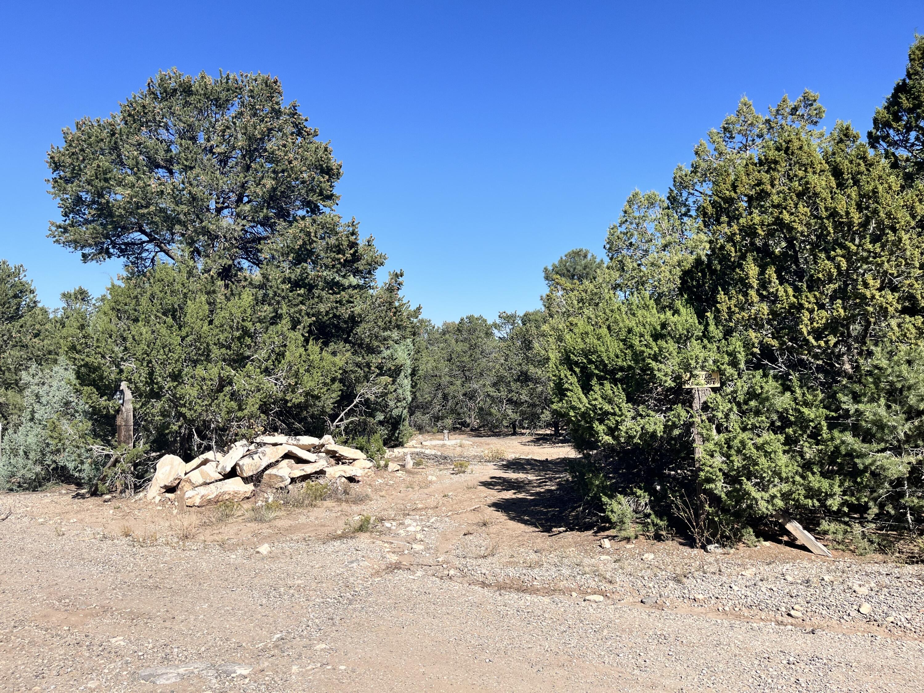 2 CAMINO FLORA Court, Tijeras