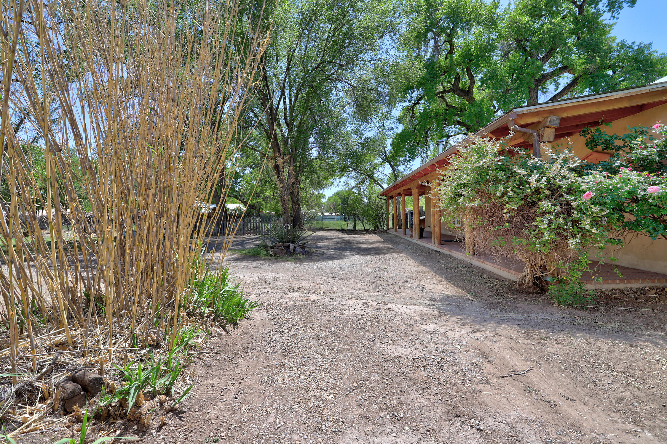 Just come see for yourself! This jewel along the Bosque is a compound comprising three legally separate properties: a 2-bedroom / 2-bath adobe home on .19 acre; a one-bedroom adobe dating back to 1930 on .14 acre; and a .14 acre lot home only to majestic cottonwood trees. This compound is bordered on one side by a sturdy adobe wall, and verdant agricultural land on the other, and half a mile from Rio Grande Bosque hiking trails. Truly a world away, authentic valley living located just west of downtown/old town. Crisp fresh paint throughout both homes showcases the beautiful construction, wood beamed ceilings, and brick floors. One home has a wraparound porch, the other an enclosed patio. You can't hear any traffic noise from inside either house. Truly special and loved.