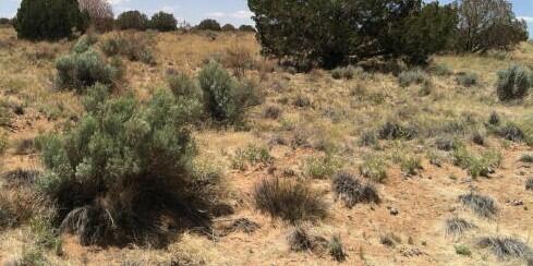 XX 38TH Street SW, Rio Rancho