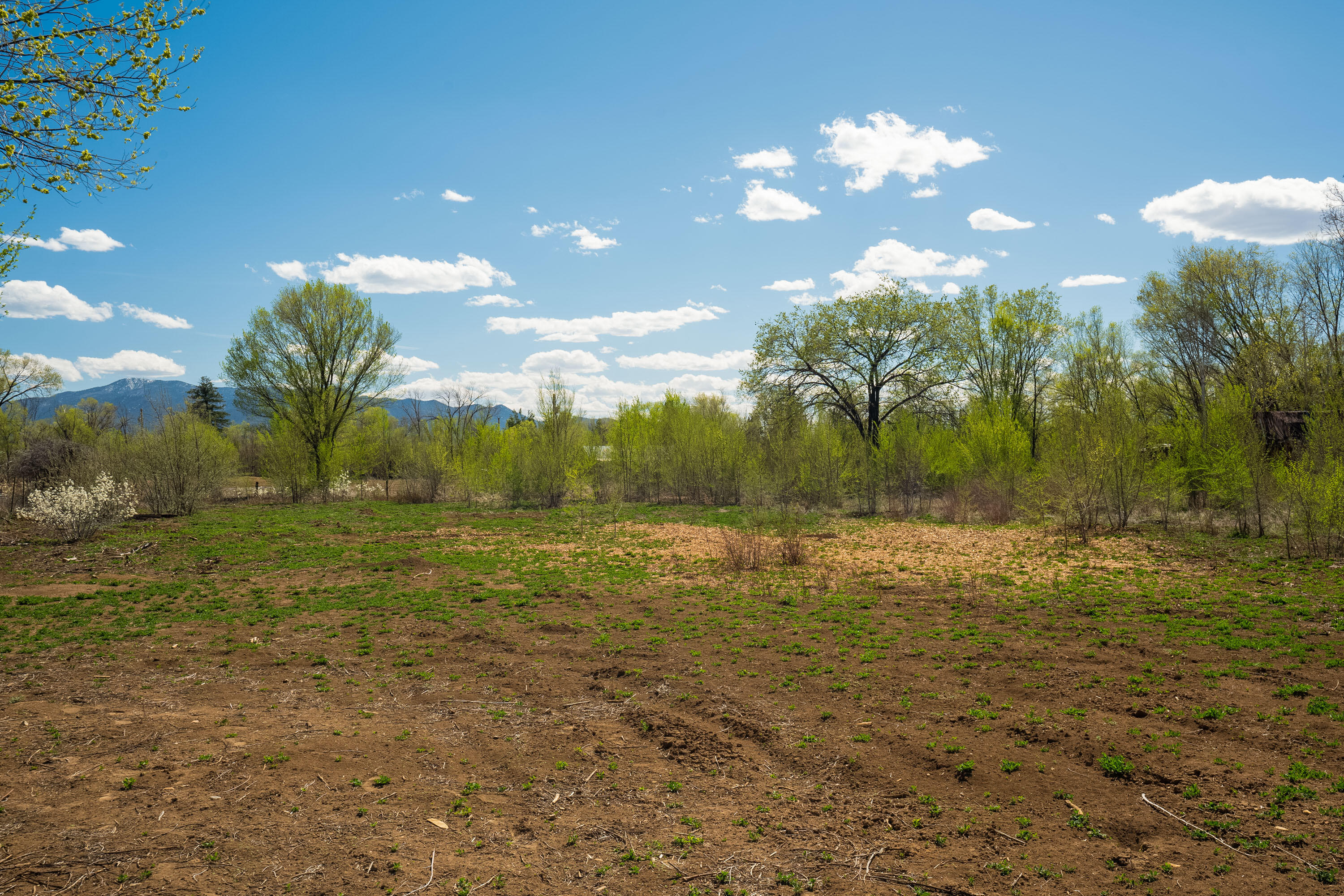 426 GOMEZ RANCH Road Taos, NM 87571