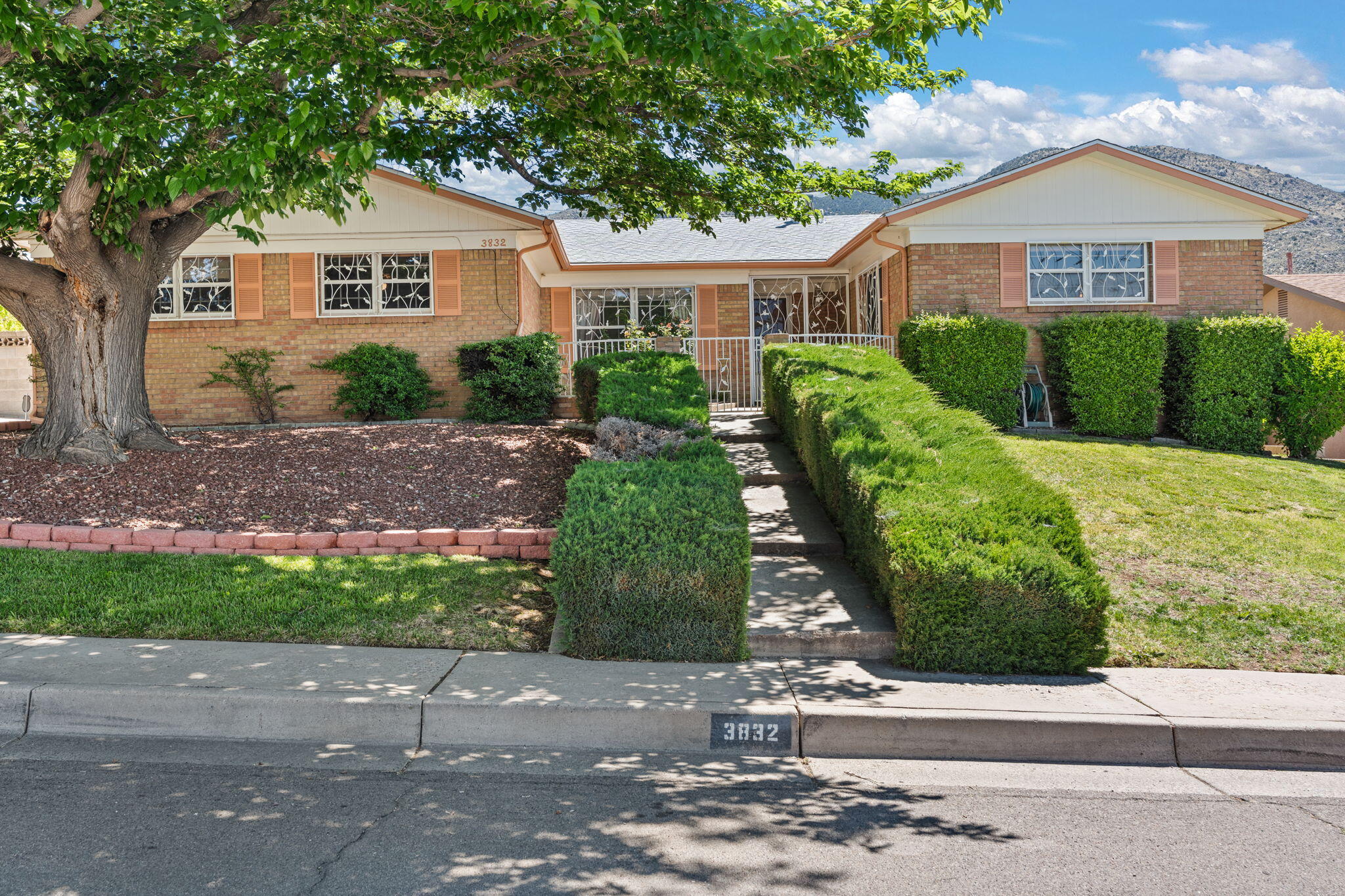 Don't miss this low maintenance all Brick Holiday Park Home.  Close to shopping and Restaurants, sSituated to take advantage of Mountain Views, this Four Bedroom, FR, LR PLUS a Rec Room is waiting for just the right Family!  Home Features include a Bright East Facing Kitchen with Mountain Views overlooking a lush Backyard with a Breathtaking Rose Garden!  Large Corner lot on a quiet end of street setting and fully secure with Wrought Iron.