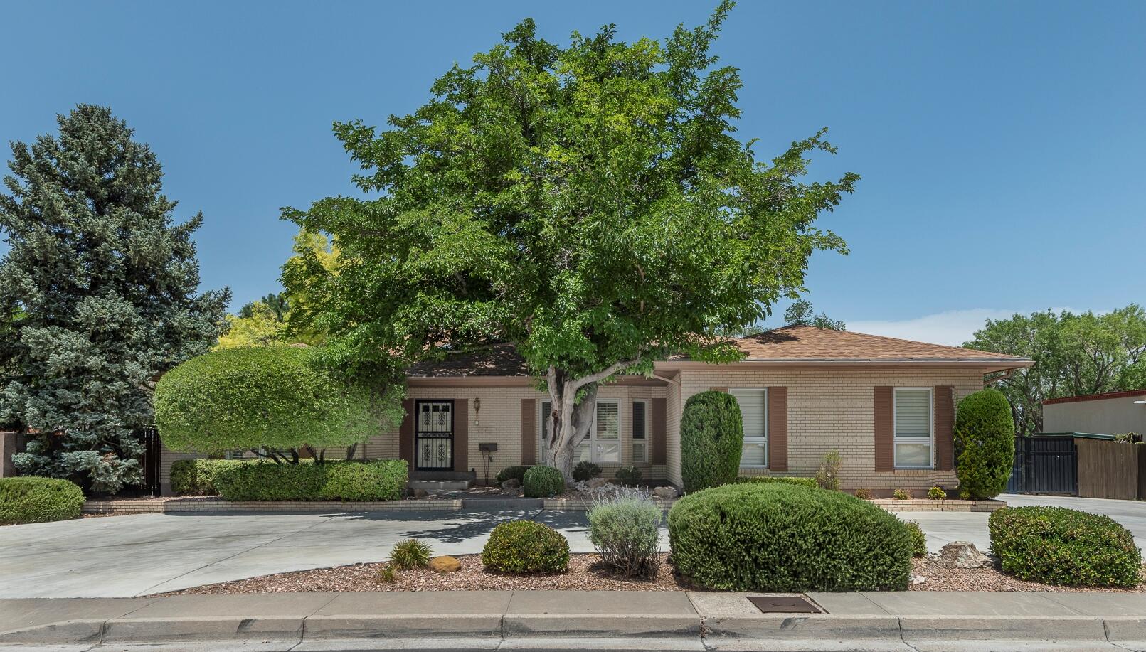 Enjoy views of the Altura Park trees & a private backyard complete with pool! Circa 1966 brick home just one street south of the Park! Over 4,400 square feet set upon over a quarter of an acre in the middle of town. Imagine - 4 living areas, 2 wet bars, formal dining room, open kitchen with nook & expanded appliance package. Two primary suites on main level, each with private bath, plus 2 add'l bedrooms + full bath on lower level. An abundance of special touches - wood plank flooring, Pella windows, fireplace with woodstove insert, walnut cabinets, granite counters, cedar closet, plantation shutters - the list goes on! Outside finds massive pergola beside sparkling pool with recent automatic cover, recent gunite & solar heating. Two car garage + recent driveway concrete.