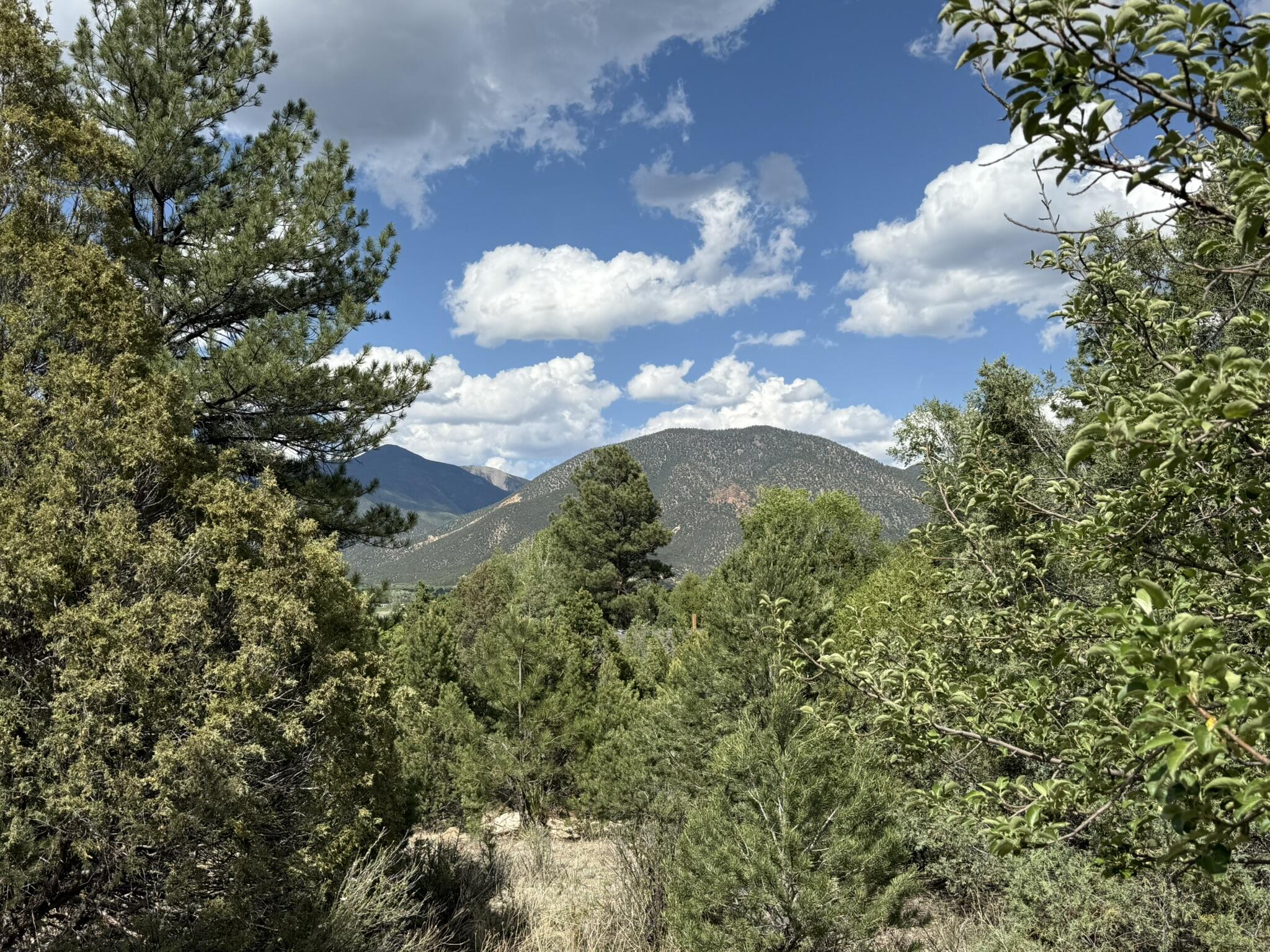 Restore Adobe Charm on a Scenic Forest-Edge PropertyThis unique property presents a rare opportunity to restore the character of an adobe home in a stunning natural setting. Though currently uninhabitable, the home includes rough-in utilities and is supported by two full RV hookup sites--perfect for living on-site during renovation.Recent improvements include new Pella windows and French doors, a newly installed septic system serving both the house and RVs, and decorative wrought iron window accents. Much of the interior brick has already been removed, offering a blank canvas for transformation.The property borders Carson National Forest, providing direct access to nature and privacy. An acequia runs behind the home--ideal for gardening or landscaping--and a charming bridge o