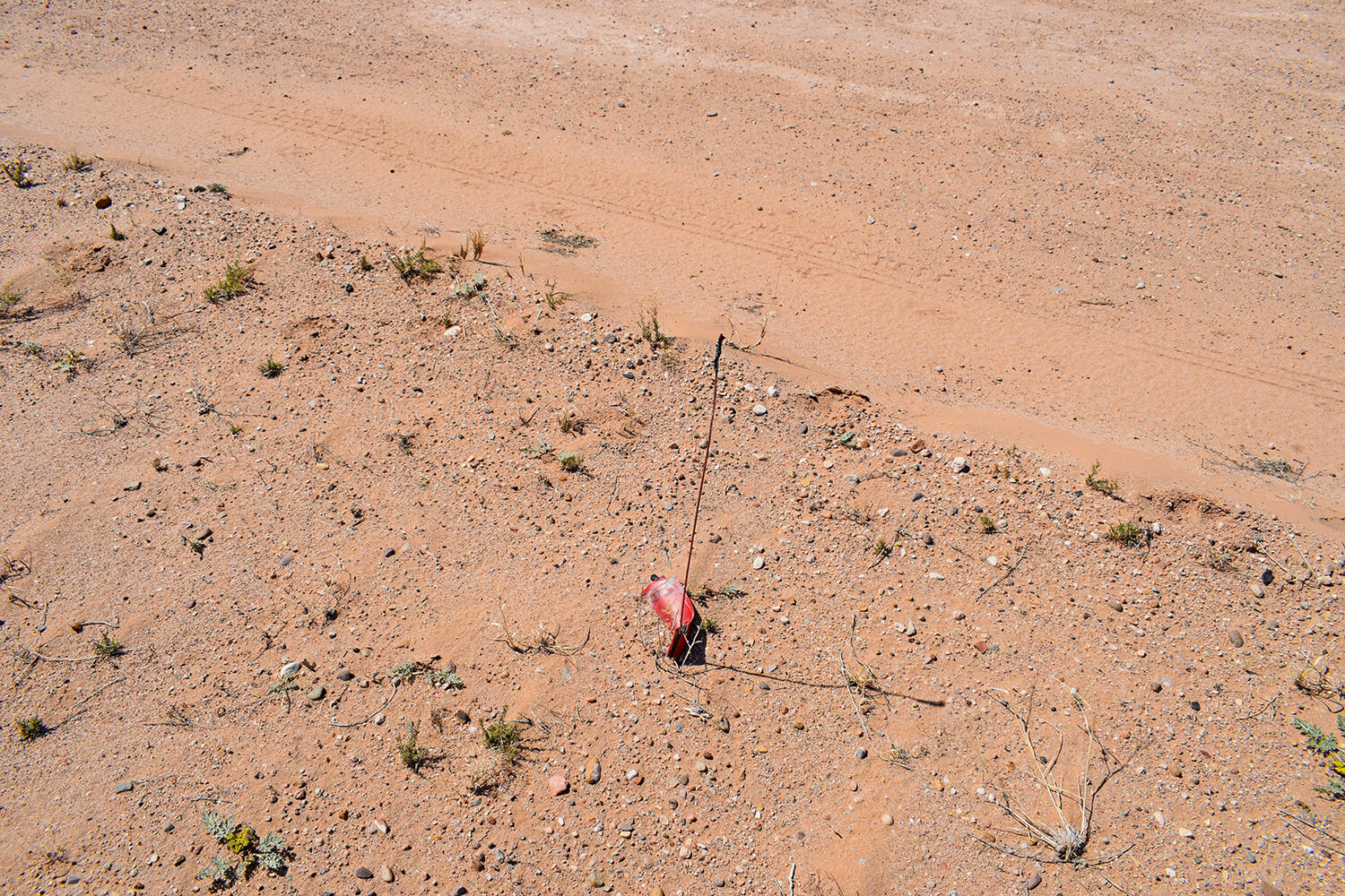 Lot 30 Lamont Street, Veguita, New Mexico 87062, ,Land,For Sale,Lot 30 Lamont Street,1030564