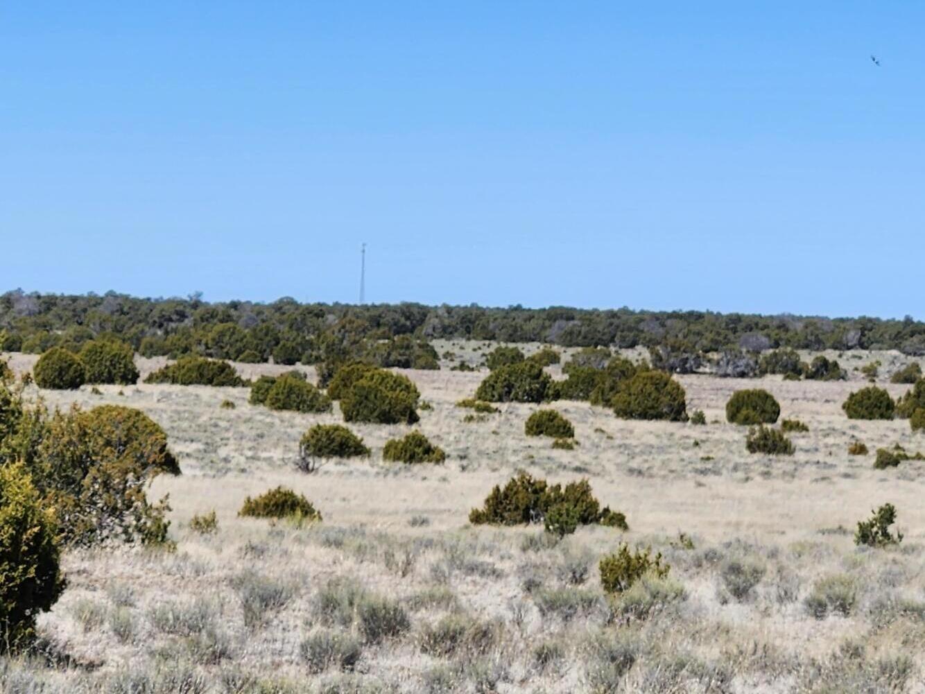 Lot 18 Skyview Ranch 18, Fence Lake, New Mexico 87315, ,Land,For Sale,Lot 18 Skyview Ranch 18,1030921