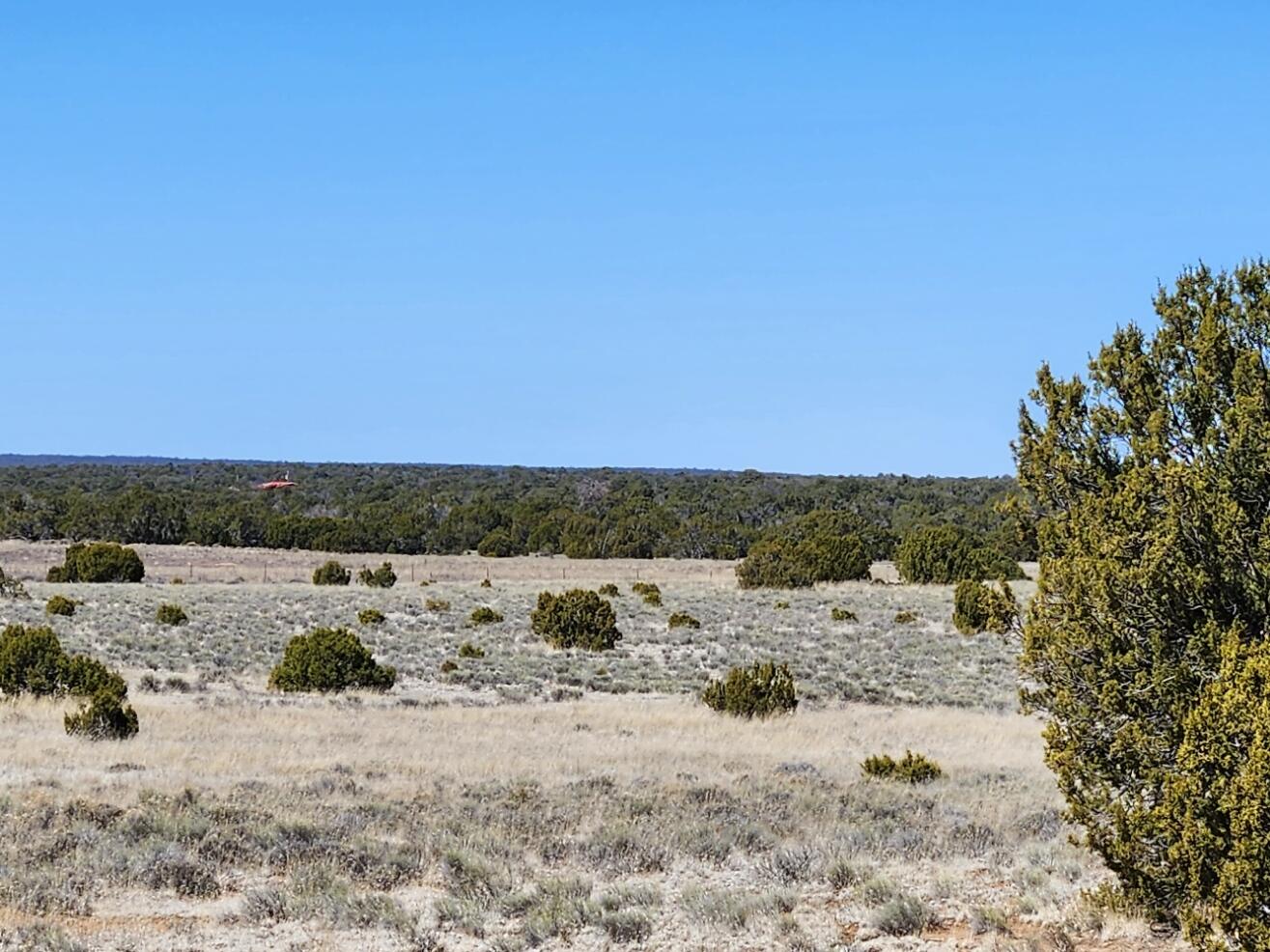 Lot 18 Skyview Ranch 18, Fence Lake, New Mexico 87315, ,Land,For Sale,Lot 18 Skyview Ranch 18,1030921