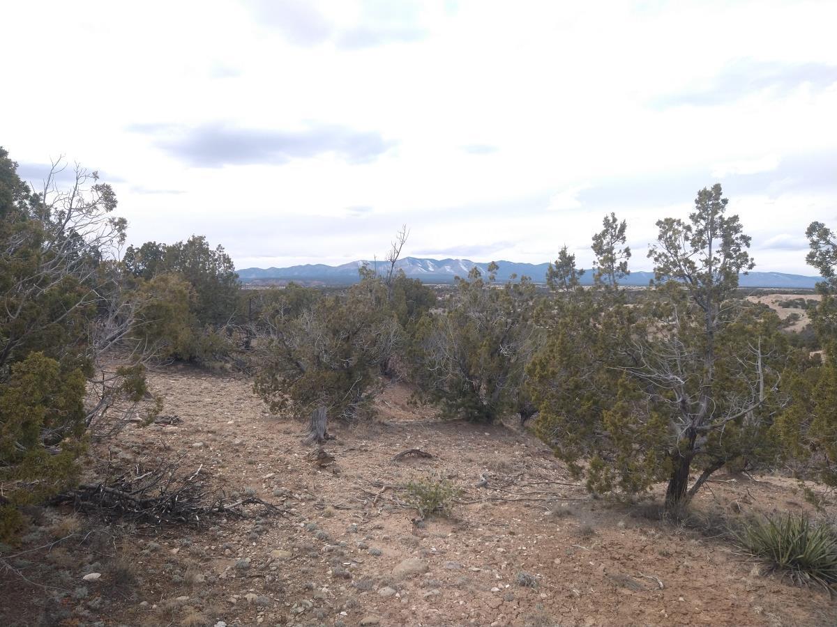 Tract 5 Bridle Path Loop, Mountainair, New Mexico 87036, ,Land,For Sale,Tract 5 Bridle Path Loop,1031671