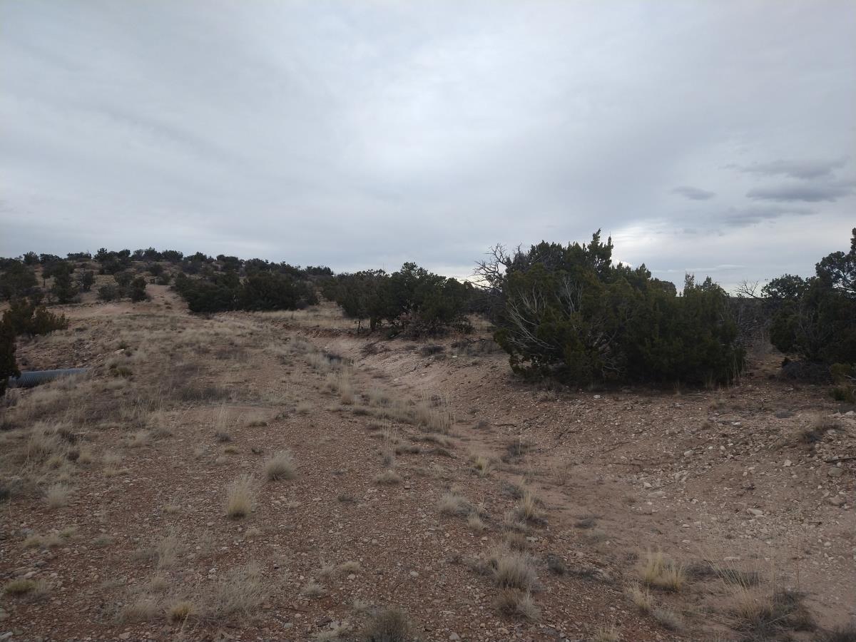 Tract 4 Bridle Path Loop, Mountainair, New Mexico 87036, ,Land,For Sale,Tract 4 Bridle Path Loop,1031675