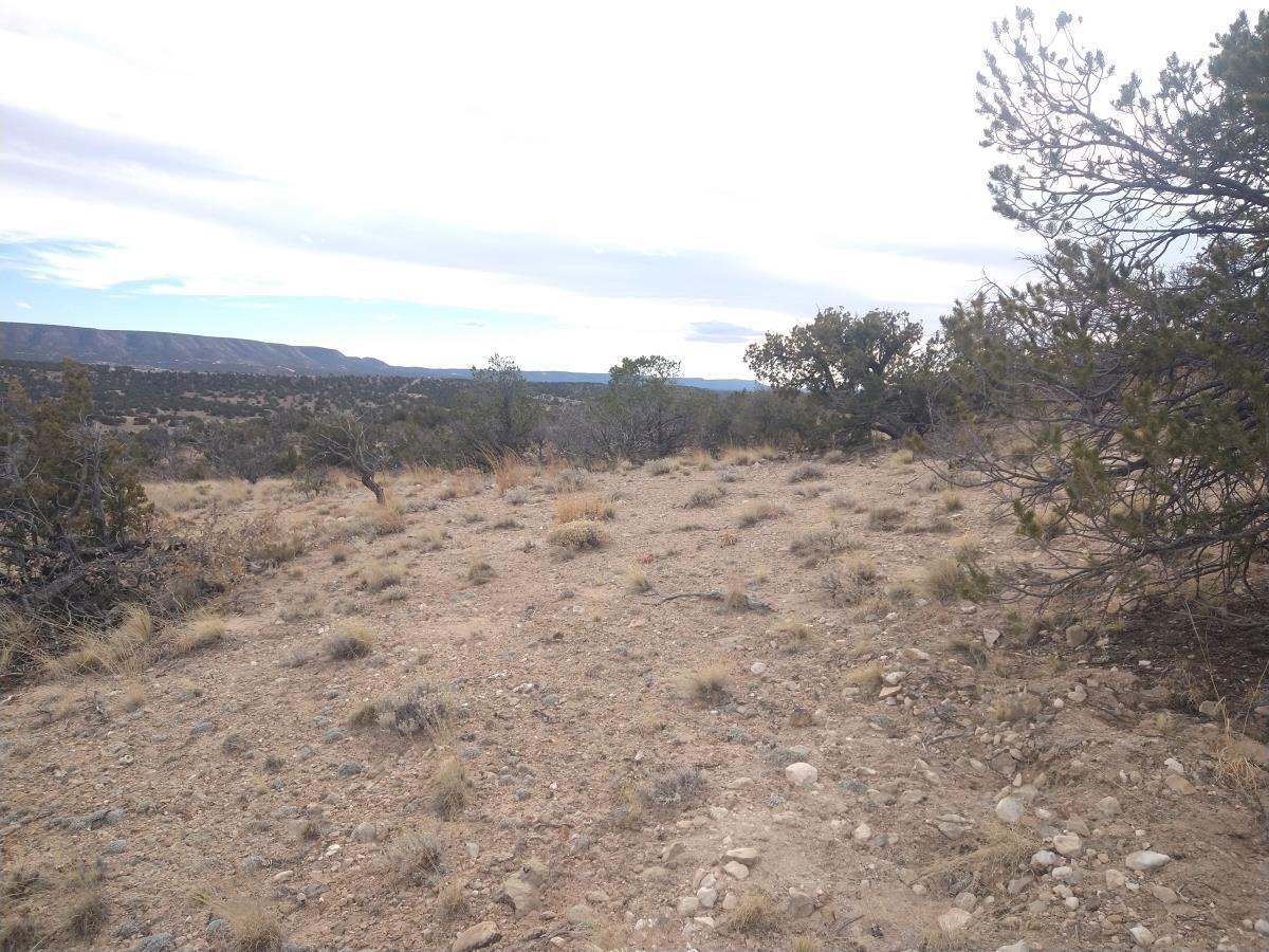 Tract 4 Bridle Path Loop, Mountainair, New Mexico 87036, ,Land,For Sale,Tract 4 Bridle Path Loop,1031675
