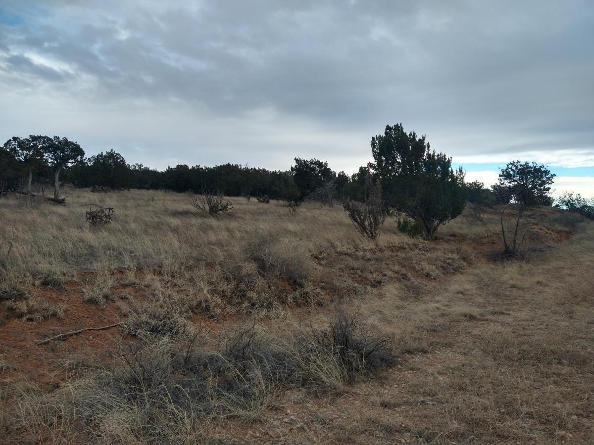 Tract 6 Bridle Path Loop, Mountainair, New Mexico 87036, ,Land,For Sale,Tract 6 Bridle Path Loop,1031677