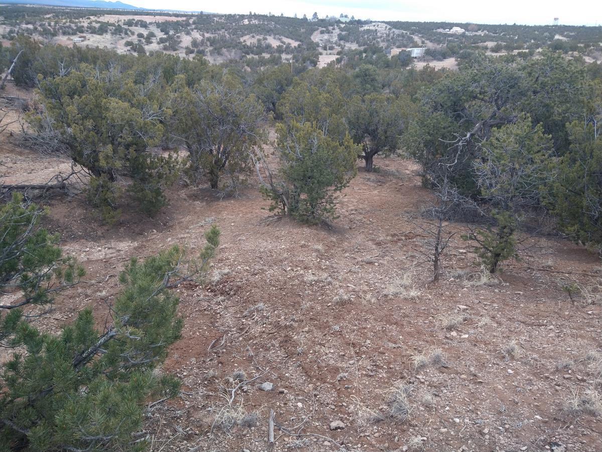 Tract 6 Bridle Path Loop, Mountainair, New Mexico 87036, ,Land,For Sale,Tract 6 Bridle Path Loop,1031677