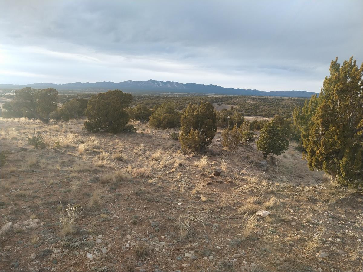 Tract 7 Bridle Path Loop, Mountainair, New Mexico 87036, ,Land,For Sale,Tract 7 Bridle Path Loop,1031678