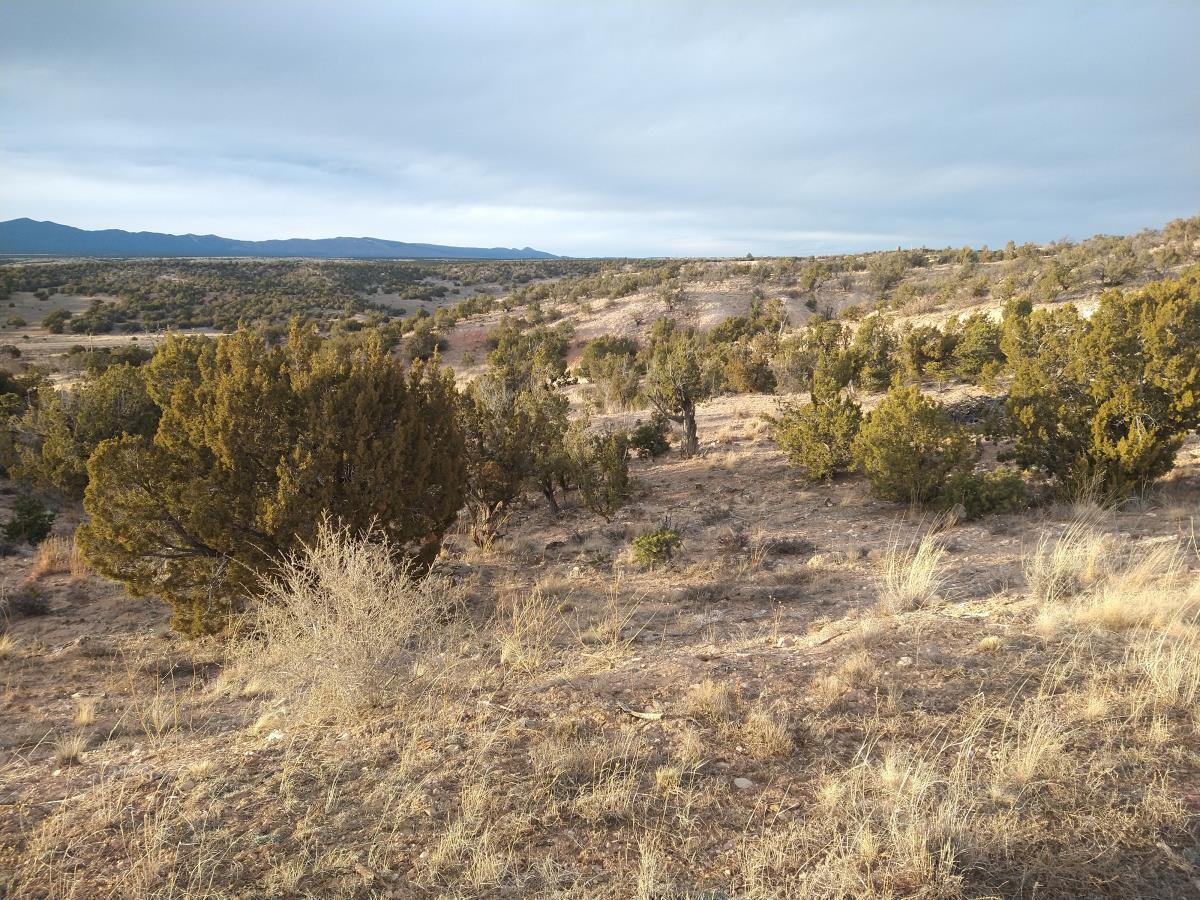 Tract 7 Bridle Path Loop, Mountainair, New Mexico 87036, ,Land,For Sale,Tract 7 Bridle Path Loop,1031678