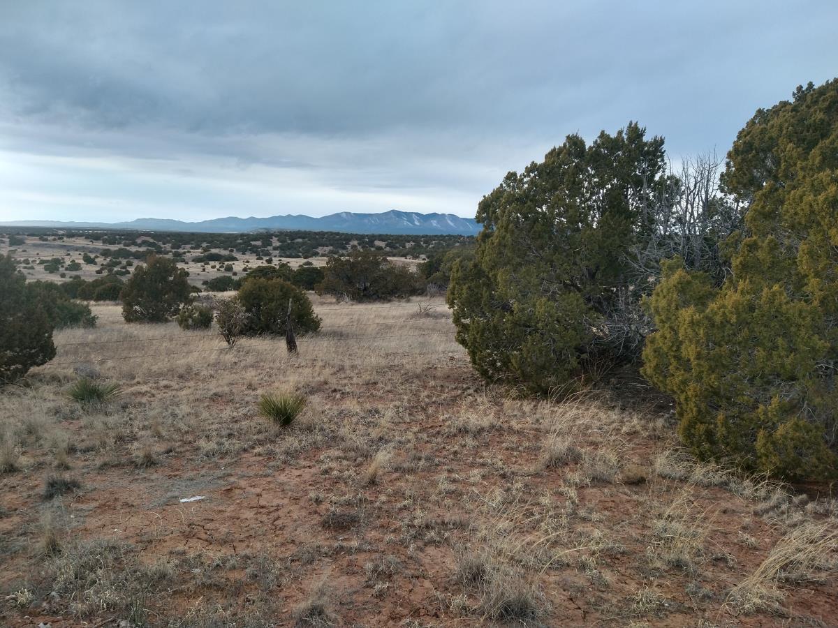Tract 7 Bridle Path Loop, Mountainair, New Mexico 87036, ,Land,For Sale,Tract 7 Bridle Path Loop,1031678