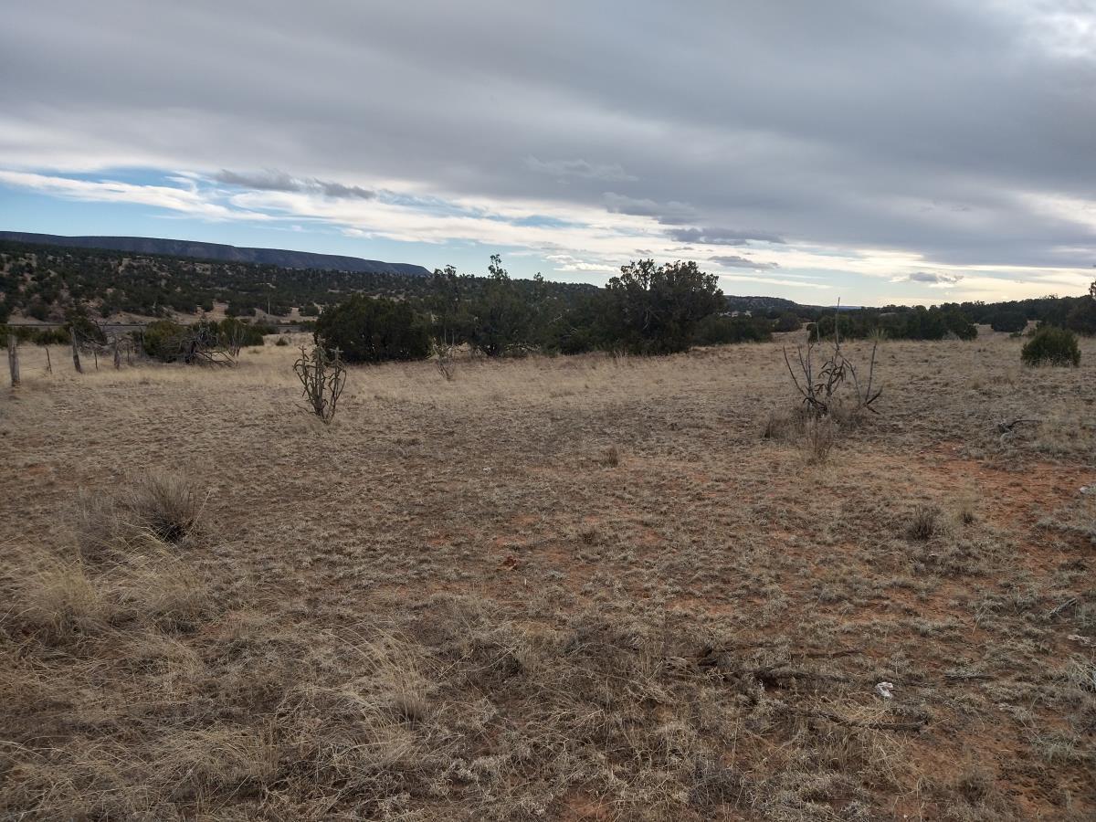 Tract 3 Bridle Path Loop, Mountainair, New Mexico 87036, ,Land,For Sale,Tract 3 Bridle Path Loop,1031682