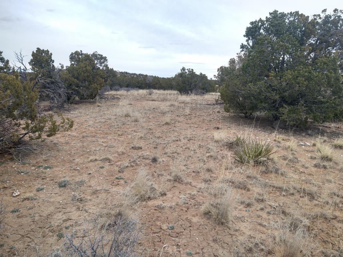 Tract 2 Bridle Path Loop, Mountainair, New Mexico 87036, ,Land,For Sale,Tract 2 Bridle Path Loop,1031686