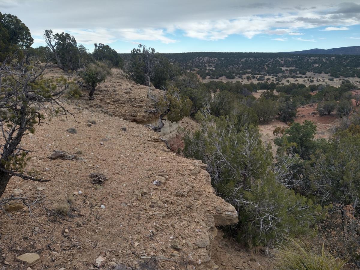Tract 2 Bridle Path Loop, Mountainair, New Mexico 87036, ,Land,For Sale,Tract 2 Bridle Path Loop,1031686