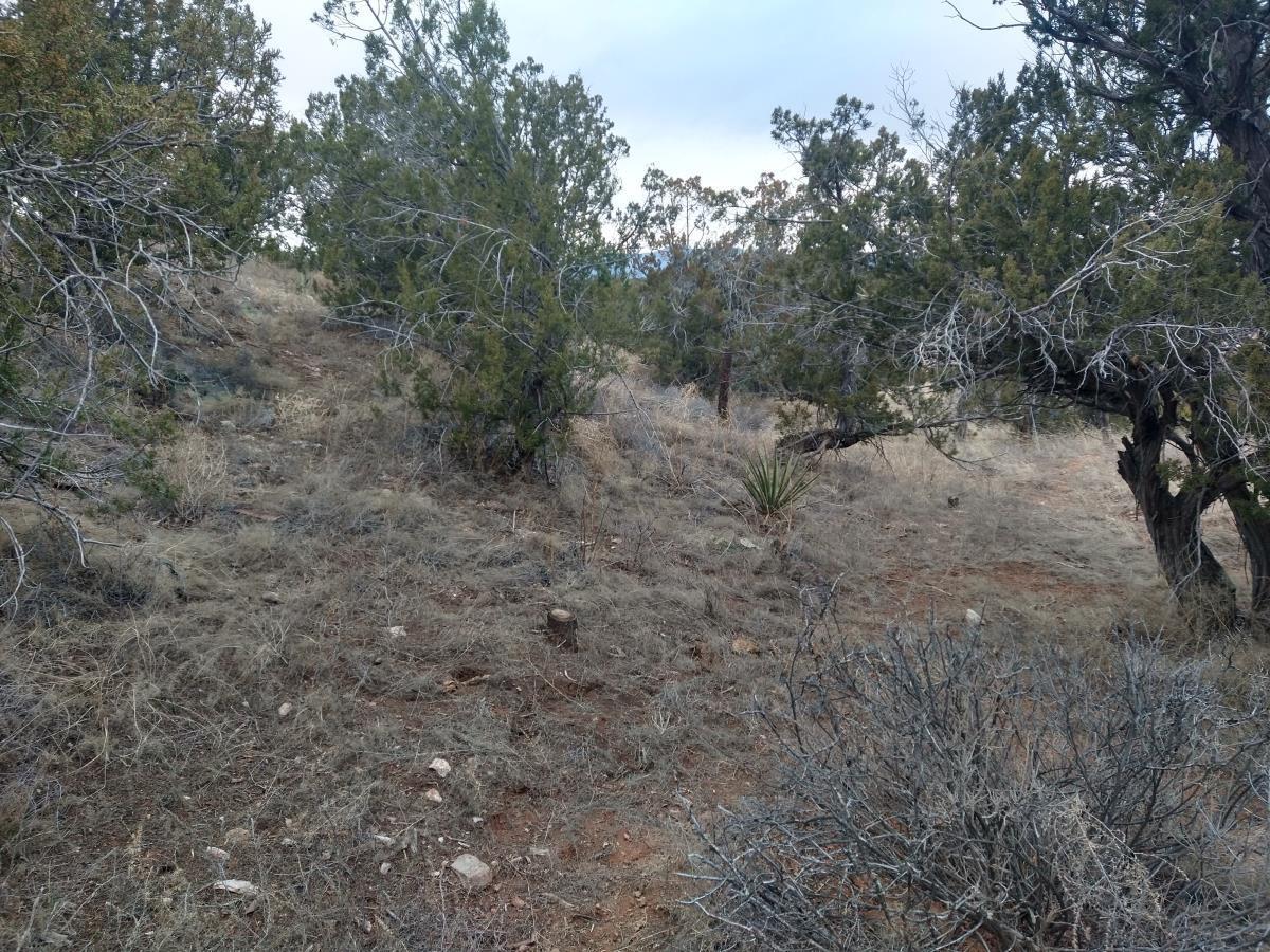 Tract 8 Bridle Path Loop, Mountainair, New Mexico 87036, ,Land,For Sale,Tract 8 Bridle Path Loop,1031714