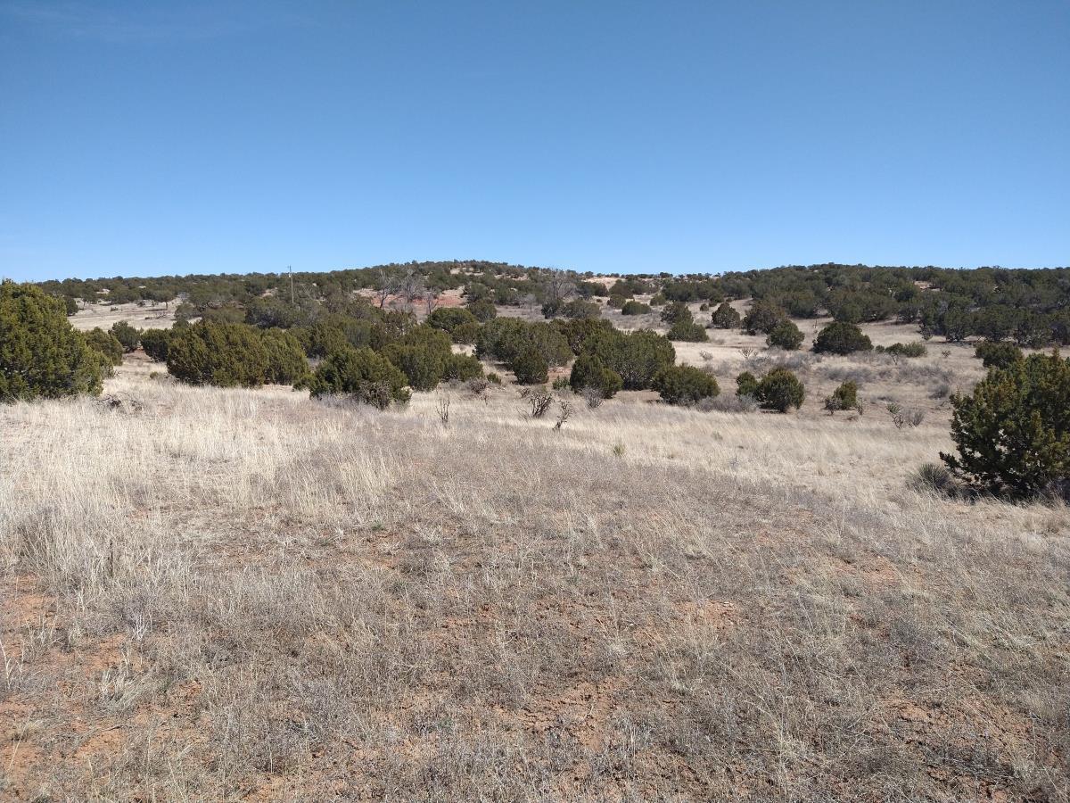 Tract 8 Bridle Path Loop, Mountainair, New Mexico 87036, ,Land,For Sale,Tract 8 Bridle Path Loop,1031714