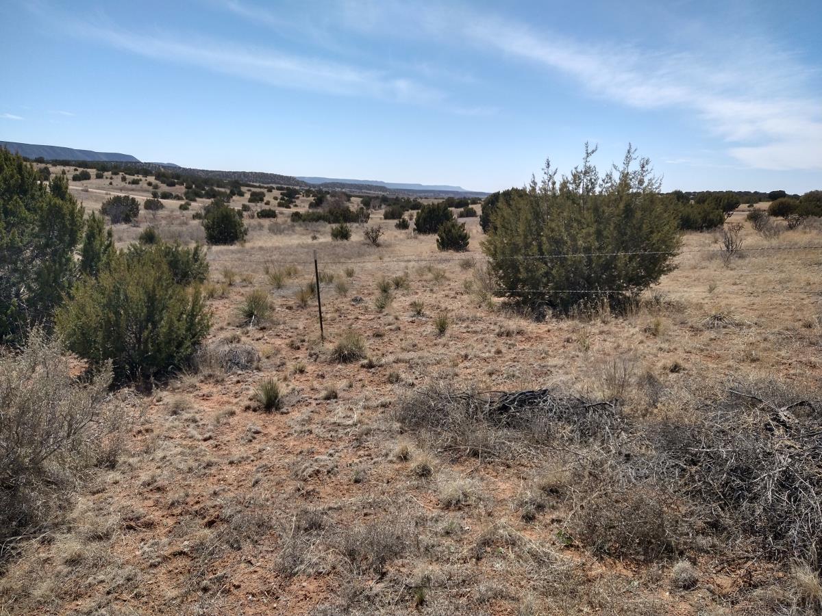 Tract 8 Bridle Path Loop, Mountainair, New Mexico 87036, ,Land,For Sale,Tract 8 Bridle Path Loop,1031714