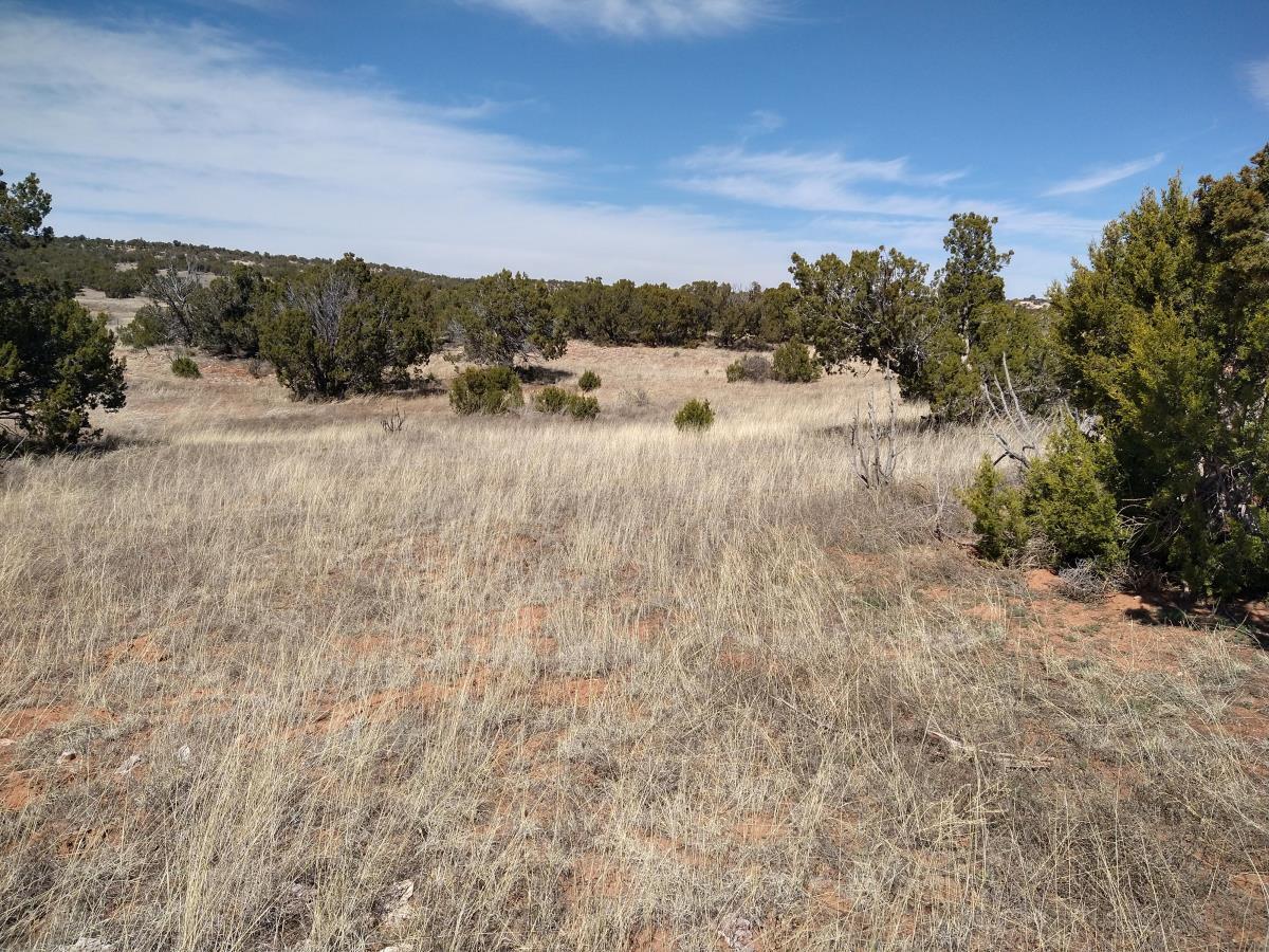 Tract 8 Bridle Path Loop, Mountainair, New Mexico 87036, ,Land,For Sale,Tract 8 Bridle Path Loop,1031714