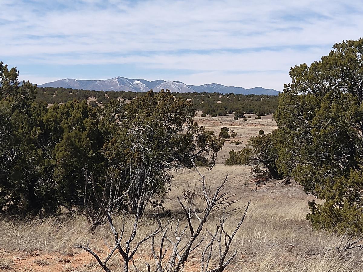 Tract 8 Bridle Path Loop, Mountainair, New Mexico 87036, ,Land,For Sale,Tract 8 Bridle Path Loop,1031714