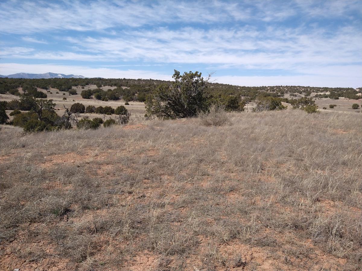 Tract 8 Bridle Path Loop, Mountainair, New Mexico 87036, ,Land,For Sale,Tract 8 Bridle Path Loop,1031714