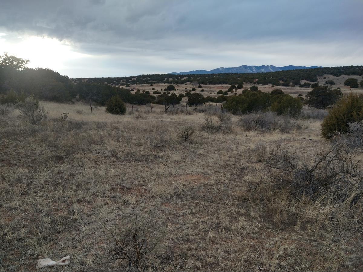 Tract 8 Bridle Path Loop, Mountainair, New Mexico 87036, ,Land,For Sale,Tract 8 Bridle Path Loop,1031714