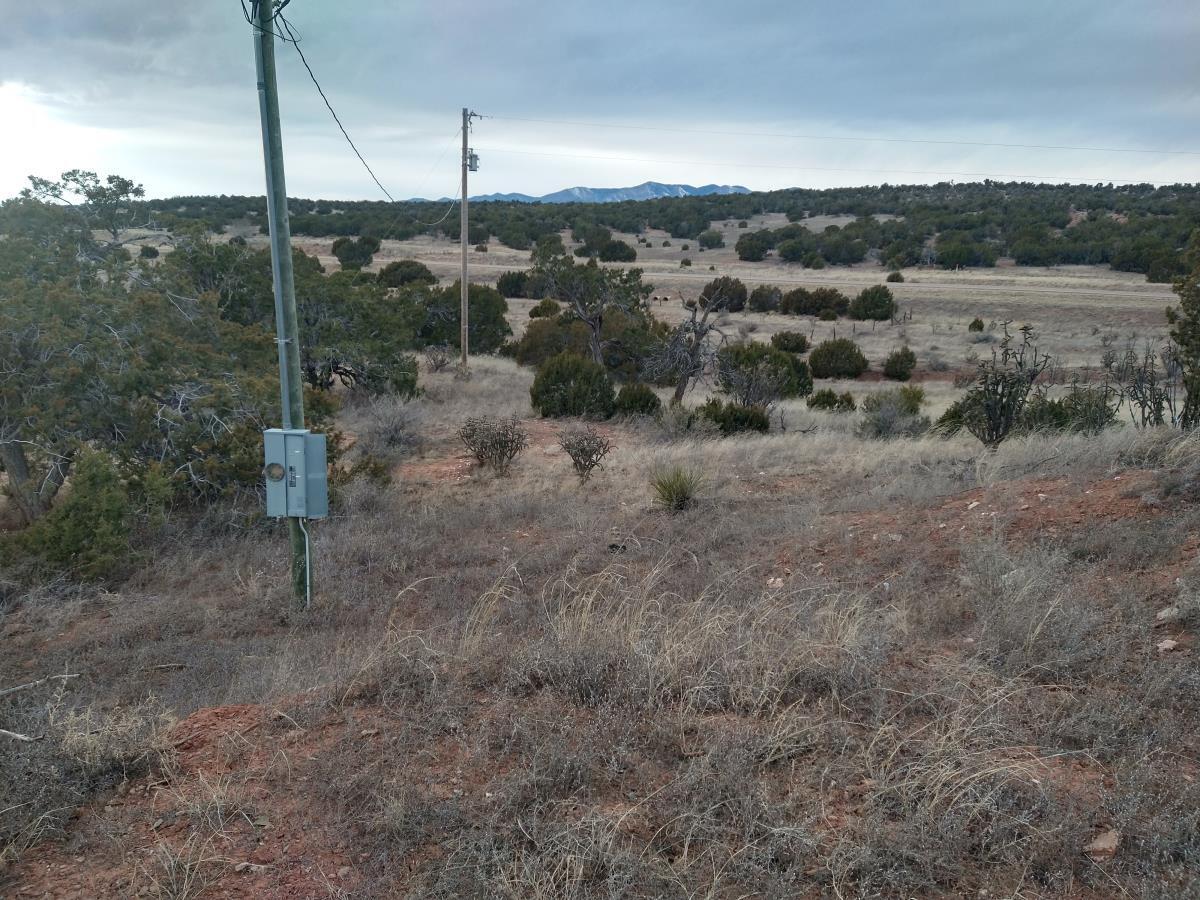 Tract 8 Bridle Path Loop, Mountainair, New Mexico 87036, ,Land,For Sale,Tract 8 Bridle Path Loop,1031714