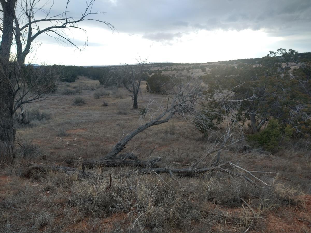 Tract 8 Bridle Path Loop, Mountainair, New Mexico 87036, ,Land,For Sale,Tract 8 Bridle Path Loop,1031714