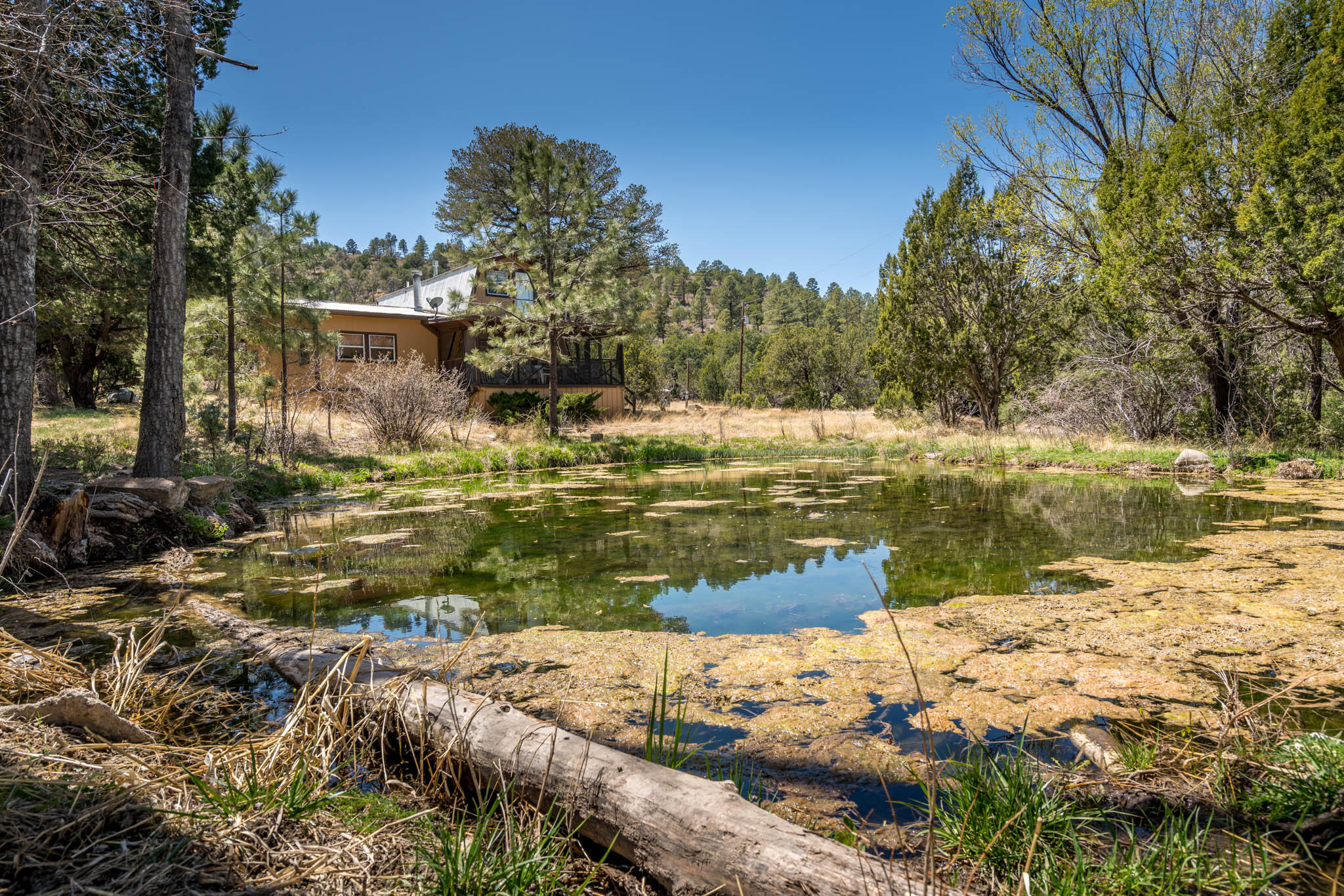Us Highway 70, Ruidoso Downs, New Mexico 88346, ,Farm,For Sale, Us Highway 70,1033586