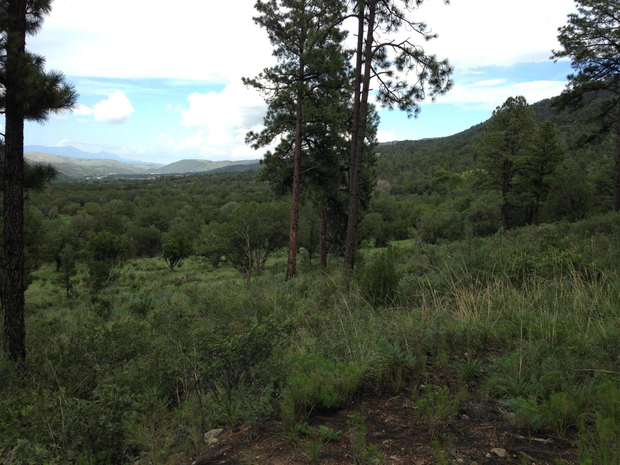 Us Highway 70, Ruidoso Downs, New Mexico 88346, ,Farm,For Sale, Us Highway 70,1033586