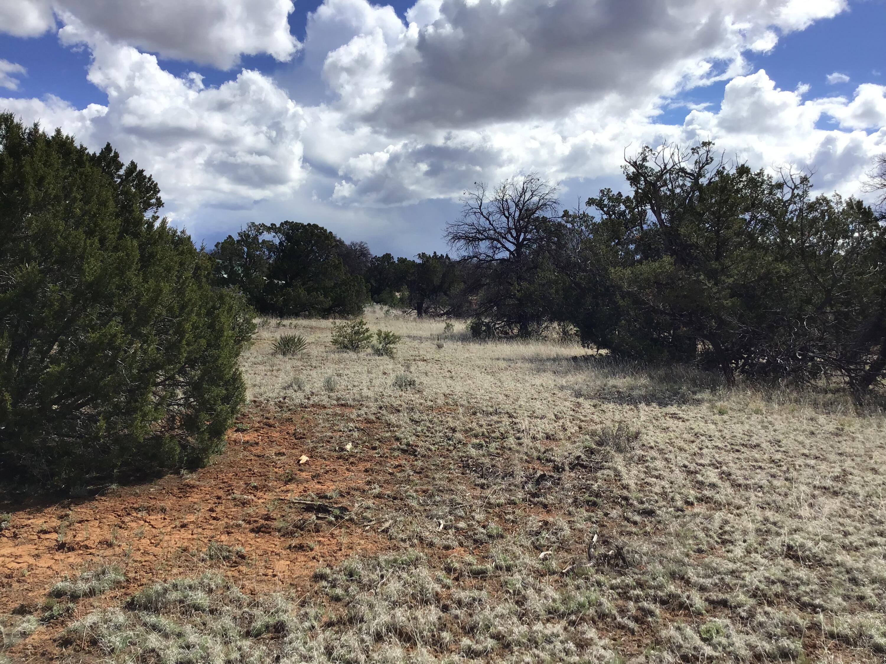 Lot 655 Gabe Road, Ramah, New Mexico 87321, ,Land,For Sale,Lot 655 Gabe Road,1034551