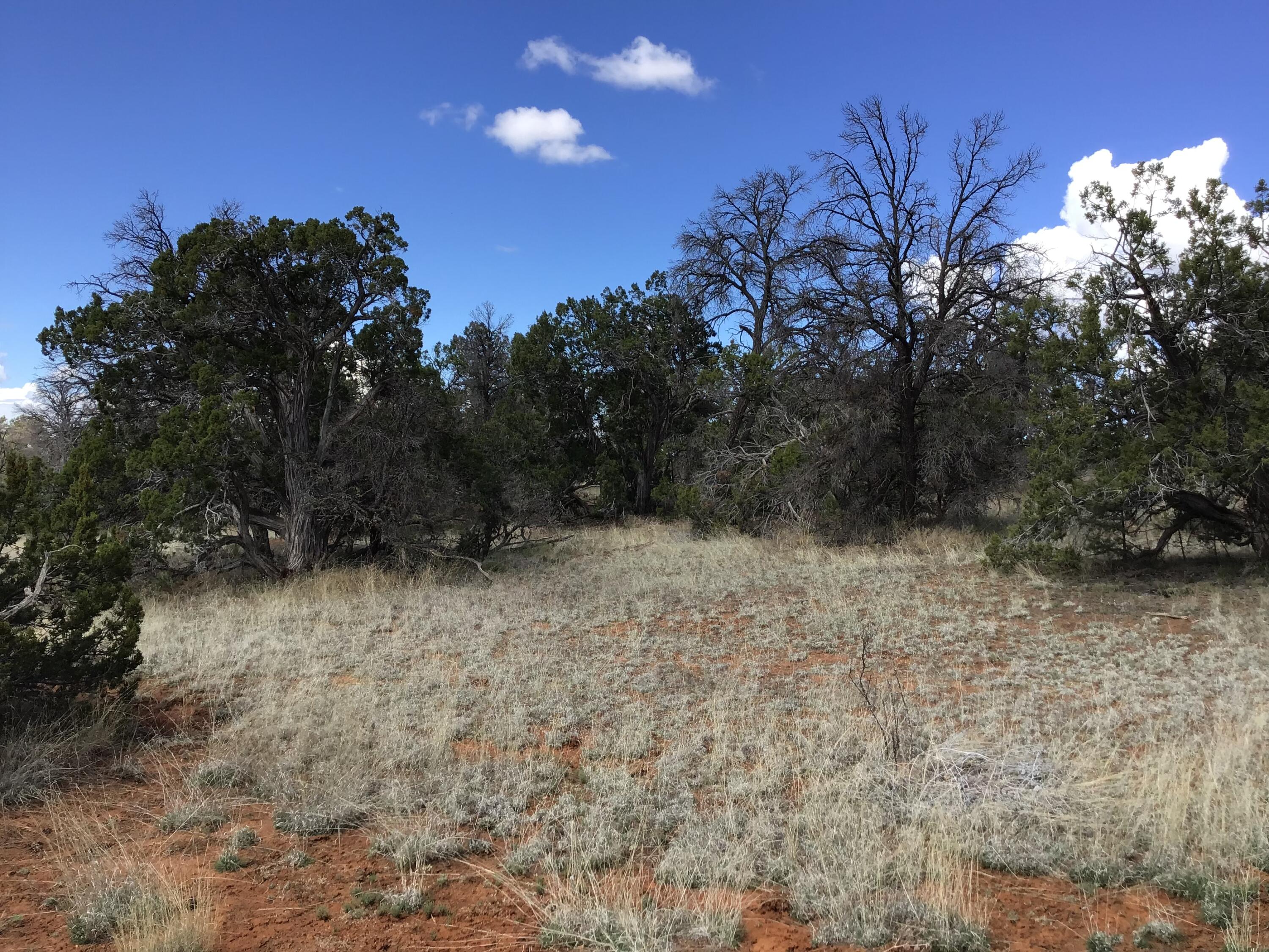Lot 655 Gabe Road, Ramah, New Mexico 87321, ,Land,For Sale,Lot 655 Gabe Road,1034551