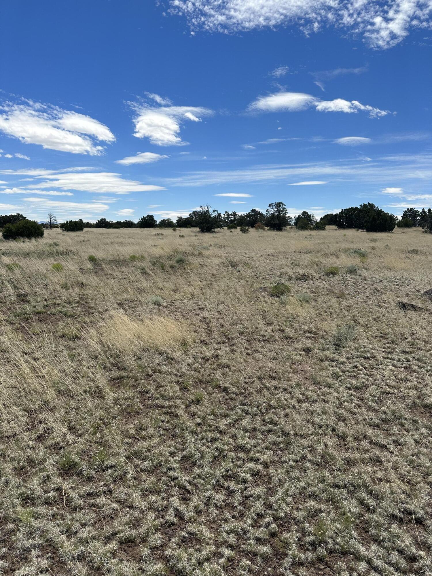 204 Prarie Winds, Quemado, New Mexico 87829, ,Land,For Sale,204 Prarie Winds,1037332