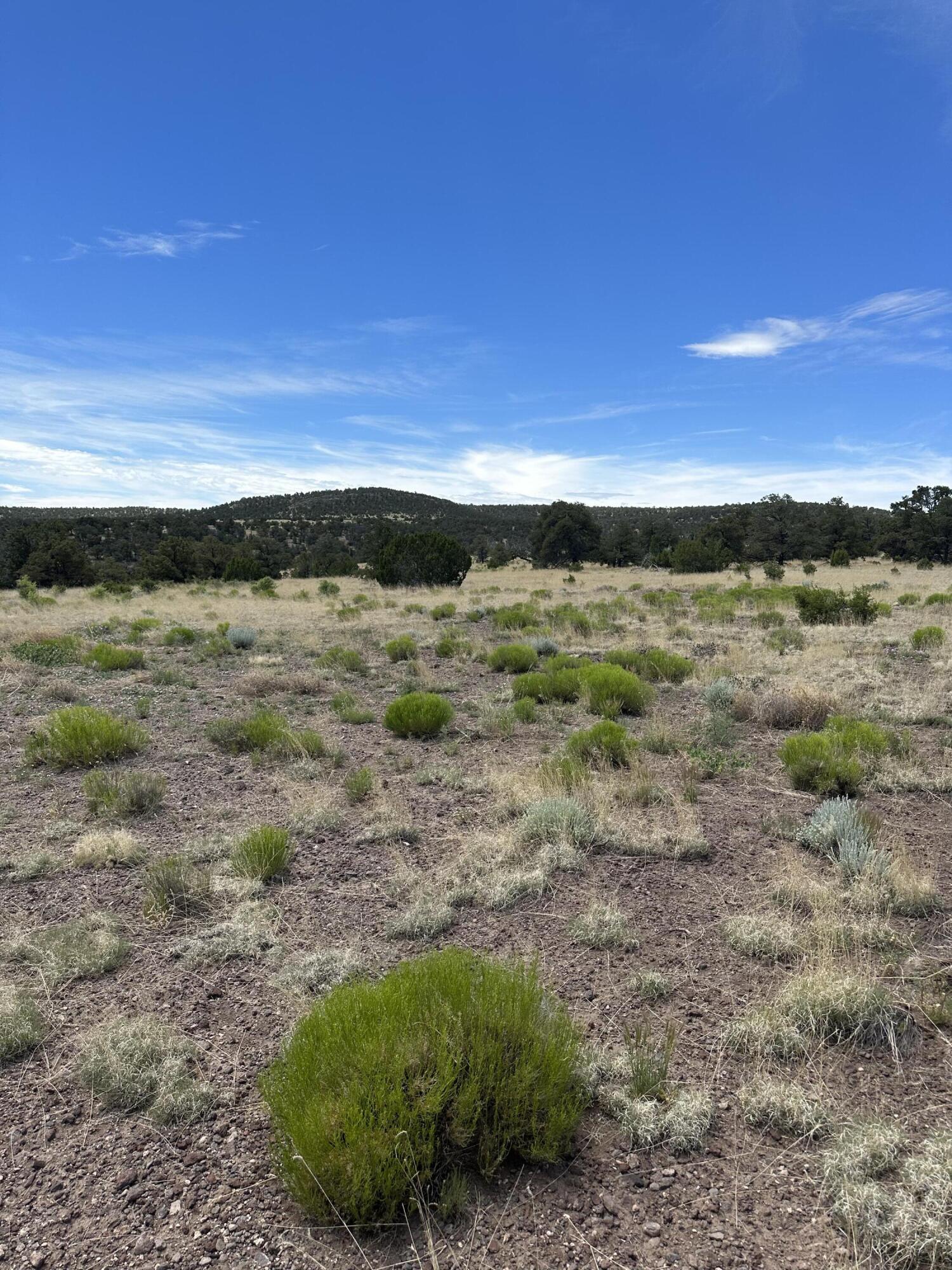204 Prarie Winds, Quemado, New Mexico 87829, ,Land,For Sale,204 Prarie Winds,1037332