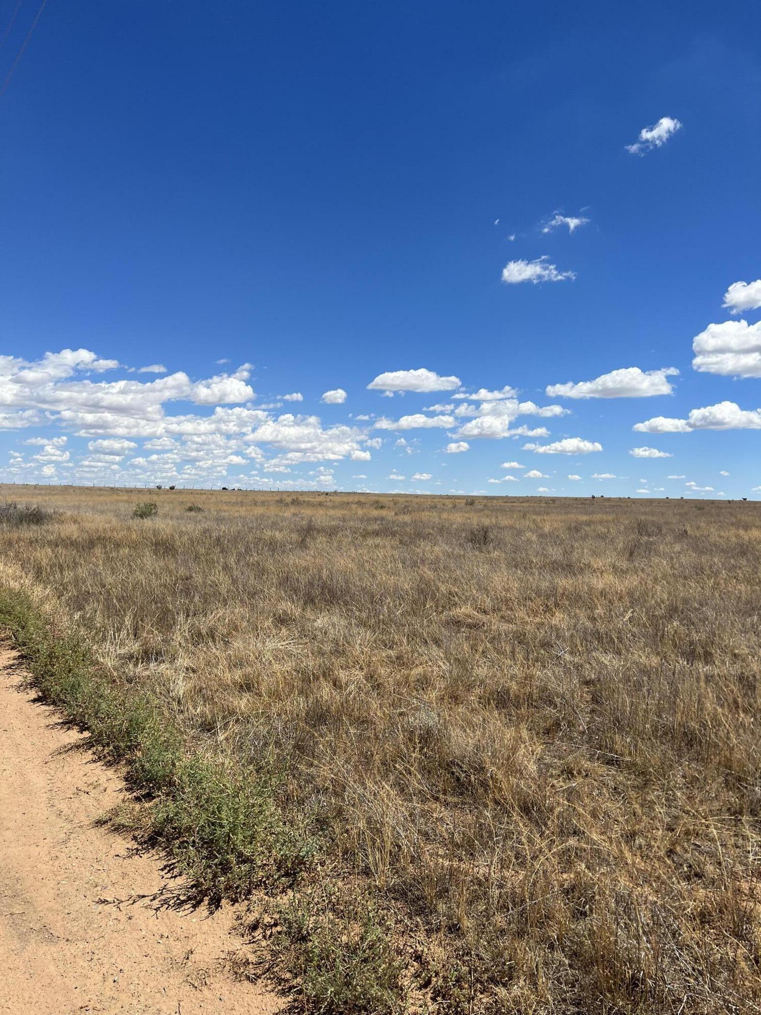 Rattlesnake Run, Edgewood, New Mexico 87015, ,Land,For Sale, Rattlesnake Run,1040612