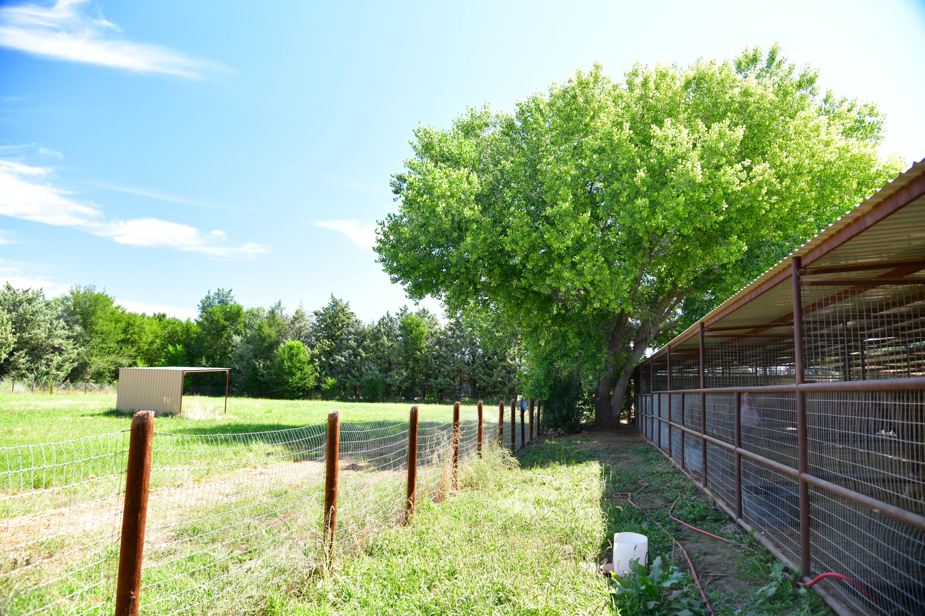 Ironwood Equestrian Farm, Belen, New Mexico 87002, ,Farm,For Sale, Ironwood Equestrian Farm,1042015