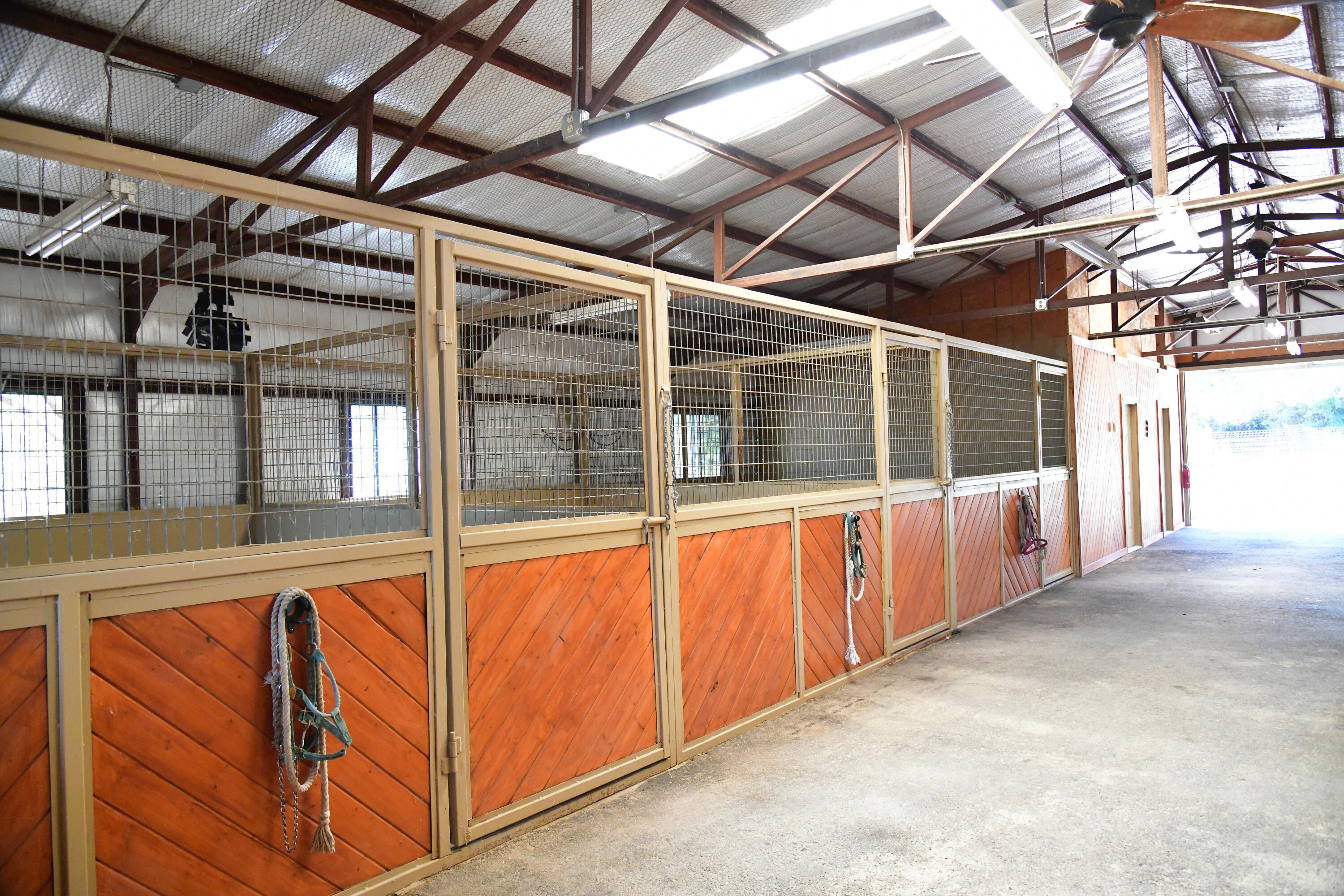 Ironwood Equestrian Farm, Belen, New Mexico 87002, ,Farm,For Sale, Ironwood Equestrian Farm,1042015