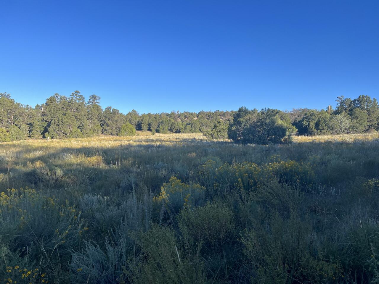 Woodland Drive, Ramah, New Mexico 87321, ,Land,For Sale, Woodland Drive,1042351