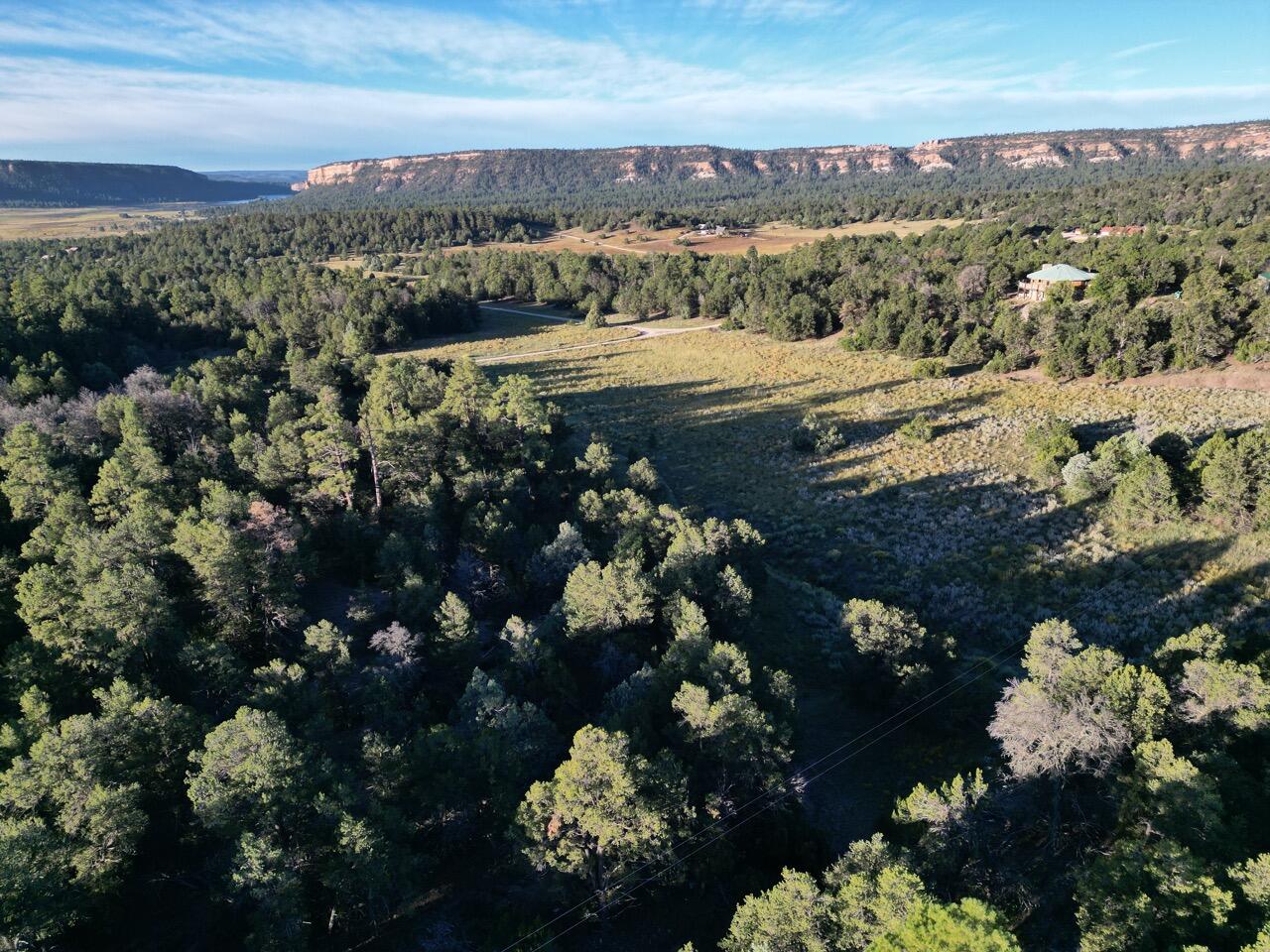 Woodland Drive, Ramah, New Mexico 87321, ,Land,For Sale, Woodland Drive,1042351