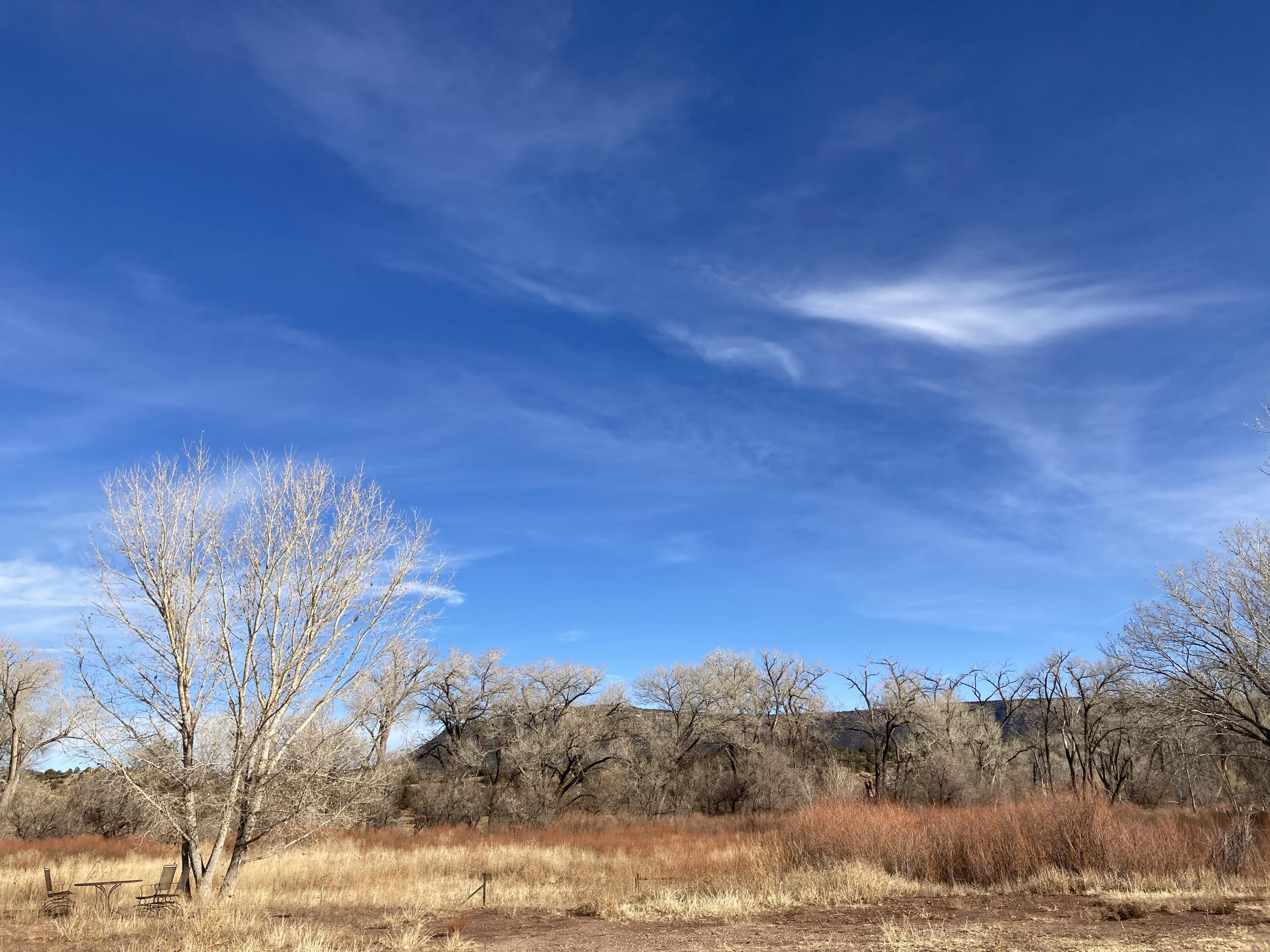 317 Highway 3, Ribera, New Mexico 87560, ,Farm,For Sale,317 Highway 3,1054922