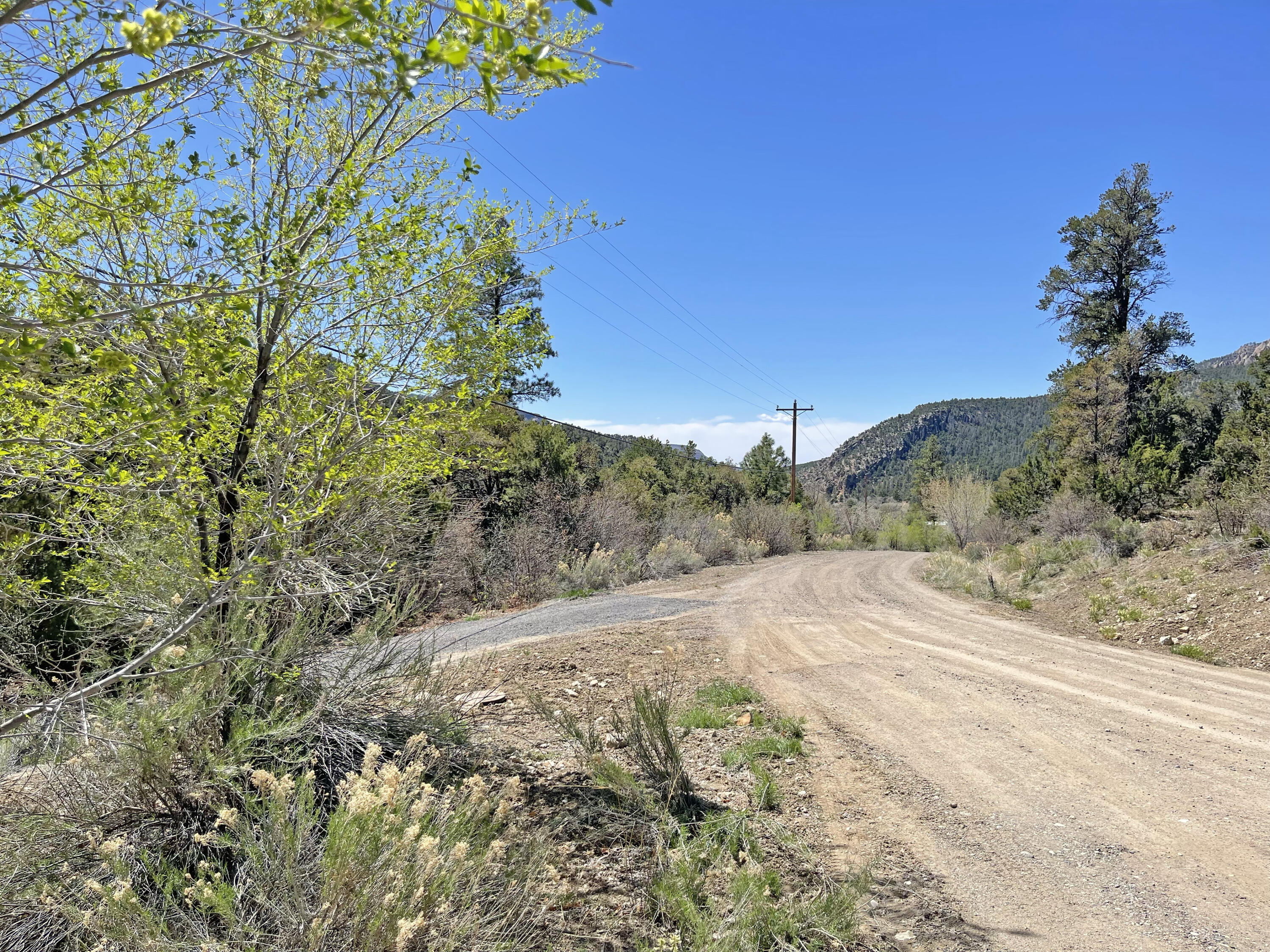 Tract1e1a Raptor Road, Jemez Springs, New Mexico 87025, ,Land,For Sale,Tract1e1a Raptor Road,1056824