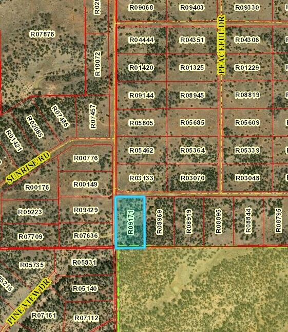 Lot 105 Ranch Road, Ramah, New Mexico 87321, ,Land,For Sale,Lot 105 Ranch Road,1057914