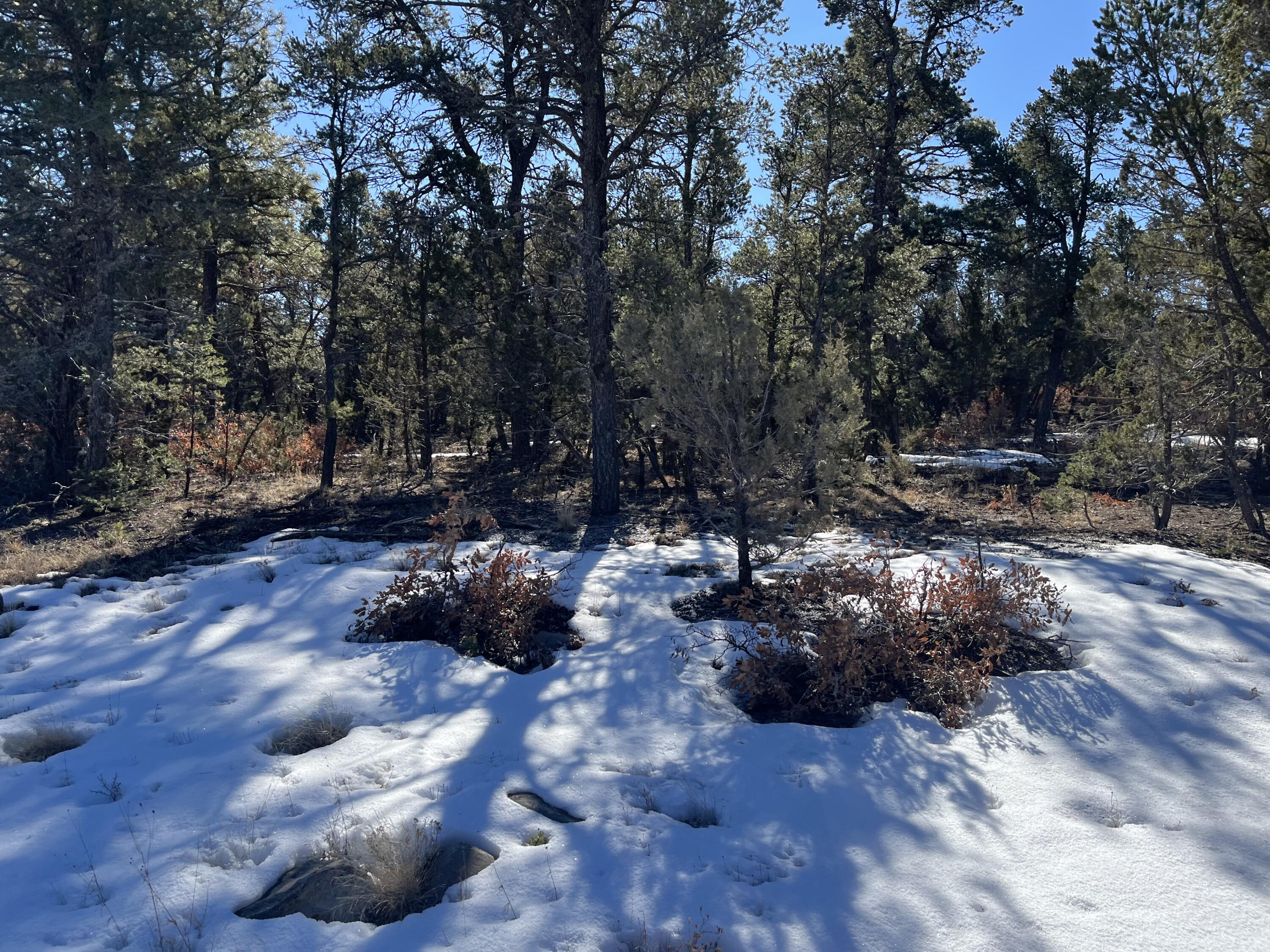 Chico Rd, Edgewood, New Mexico 87015, ,Land,For Sale, Chico Rd,1058351