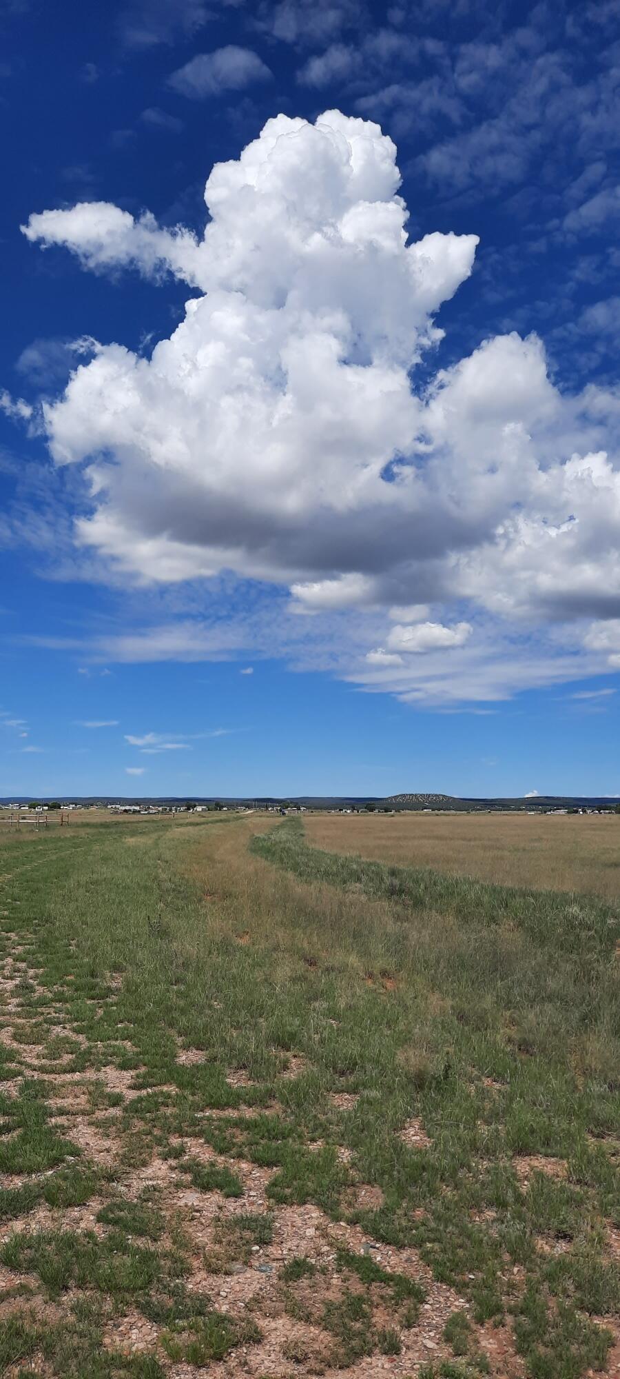 00 Sunrise Drive, Moriarty, New Mexico 87035, ,Land,For Sale,00 Sunrise Drive,1058466
